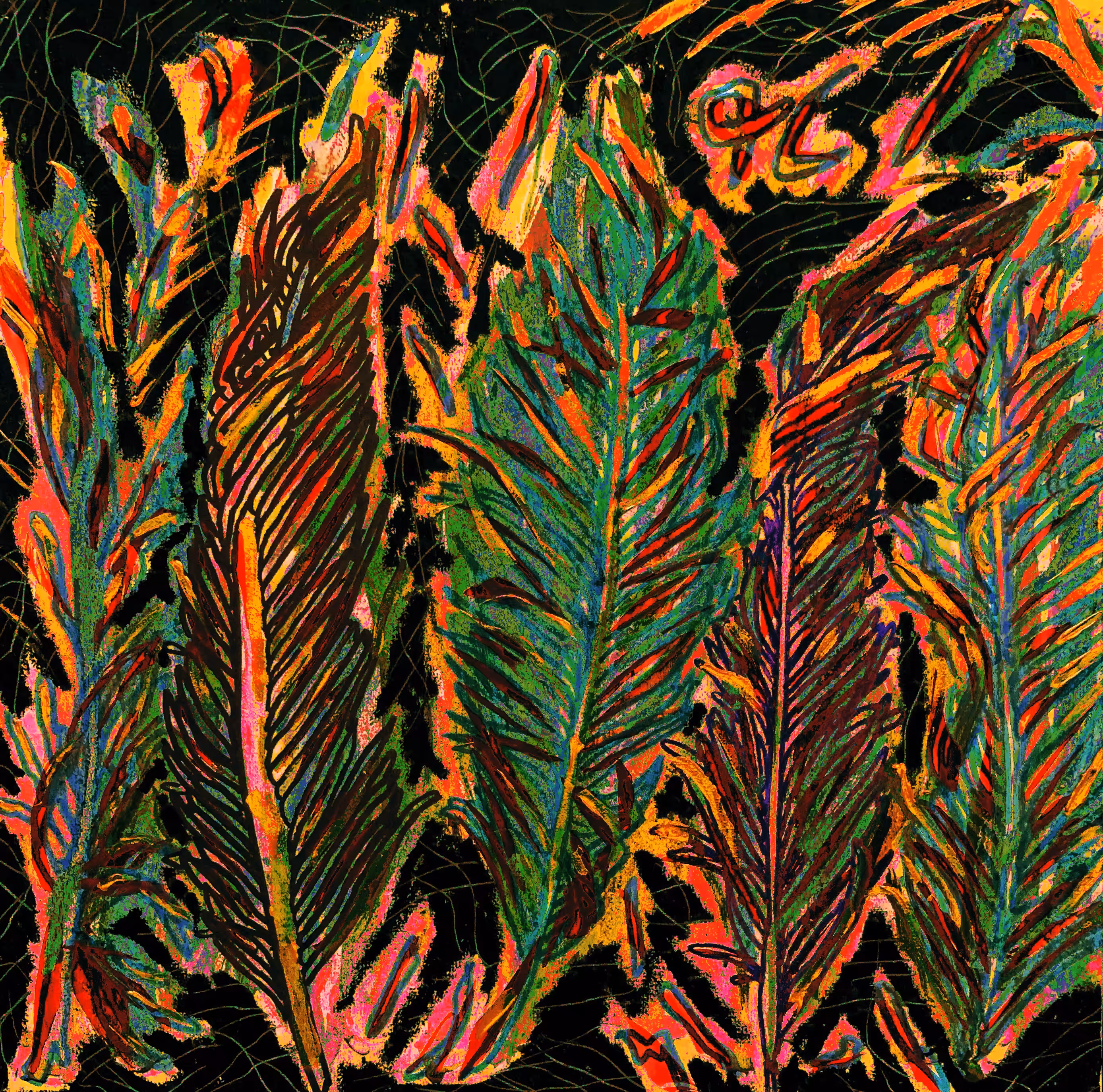 Painted Feathers