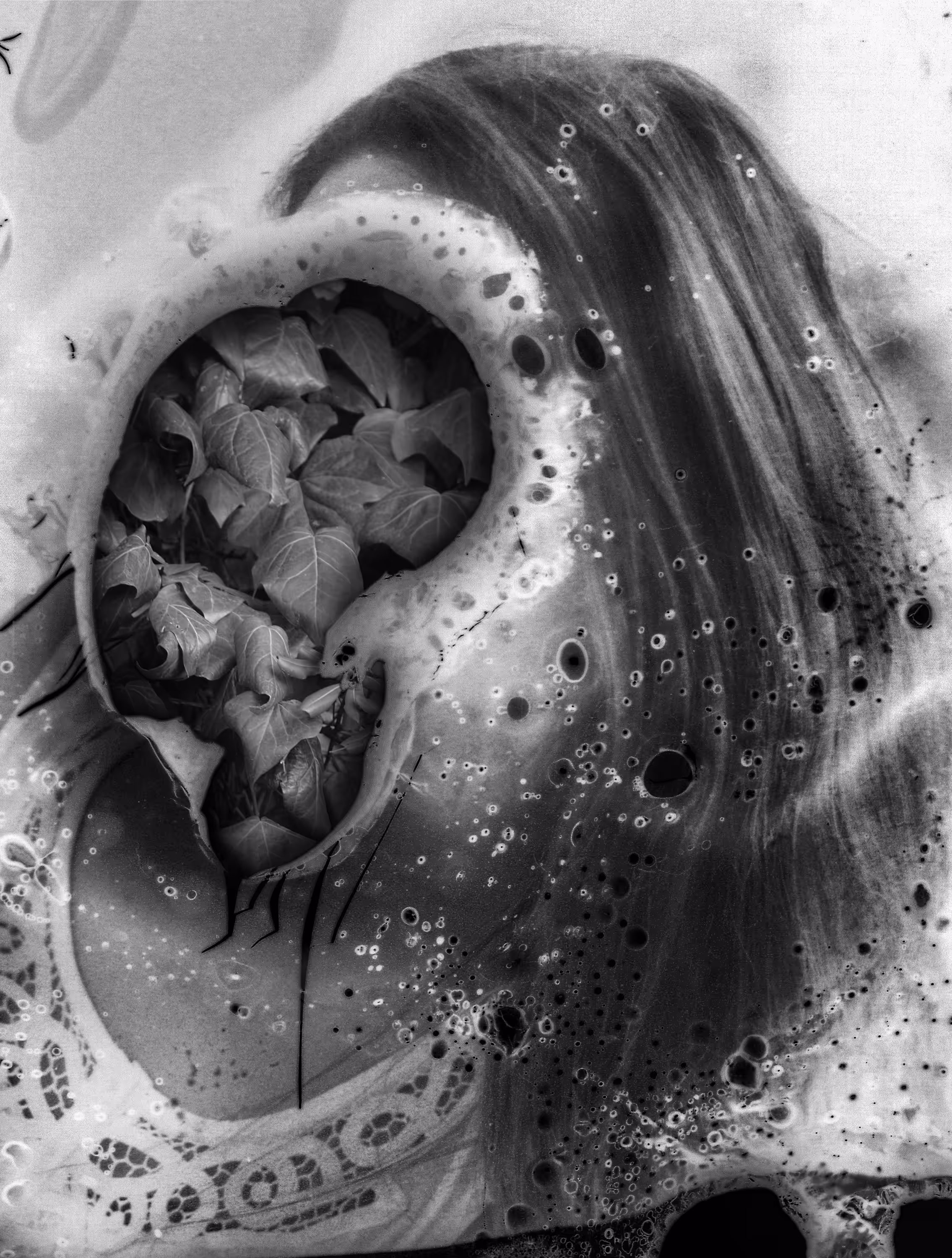 A Woman Giving Birth to Flowers