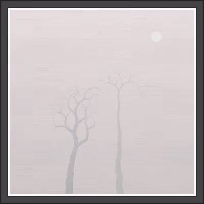 The Foggy Trees #13
