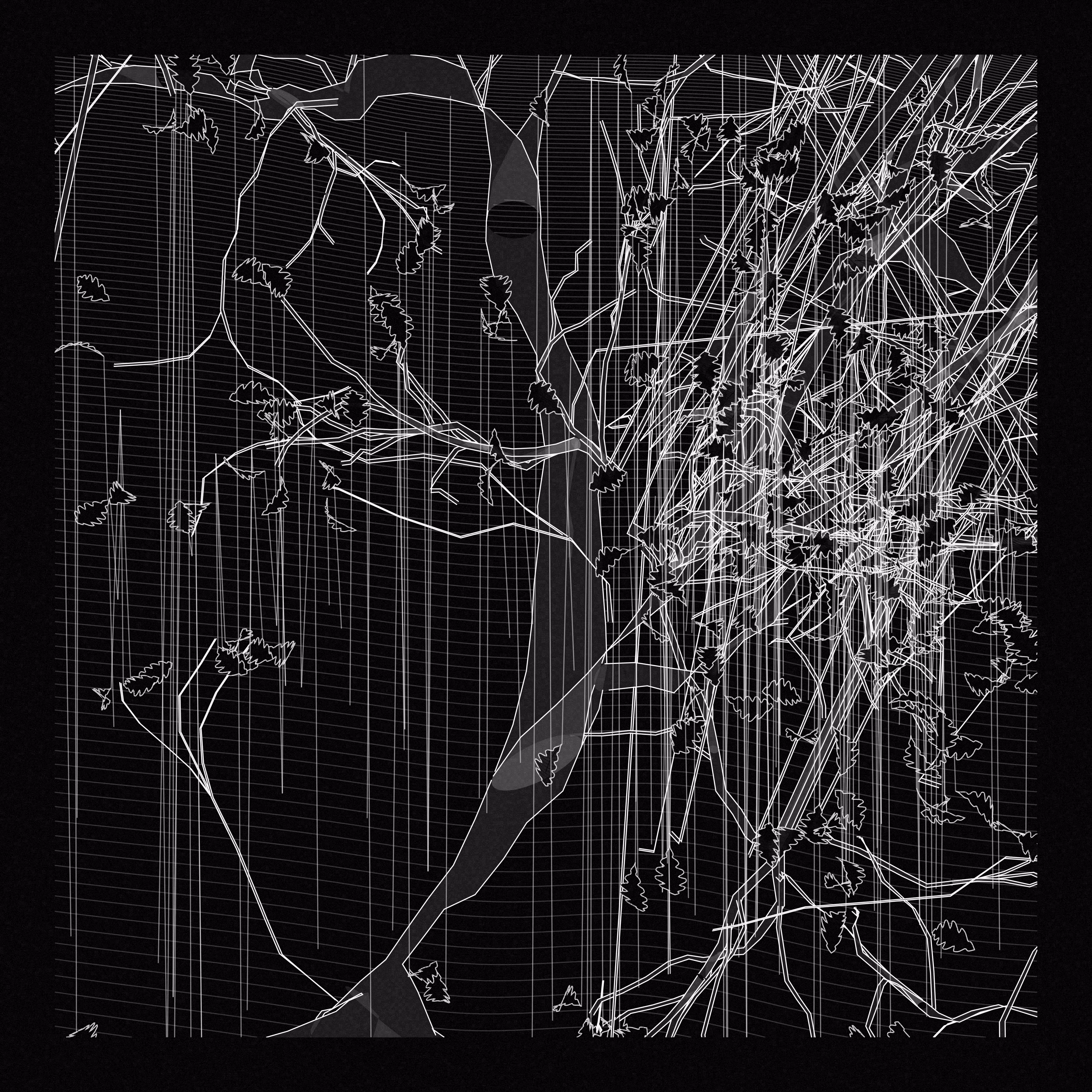 A Bugged Forest #659