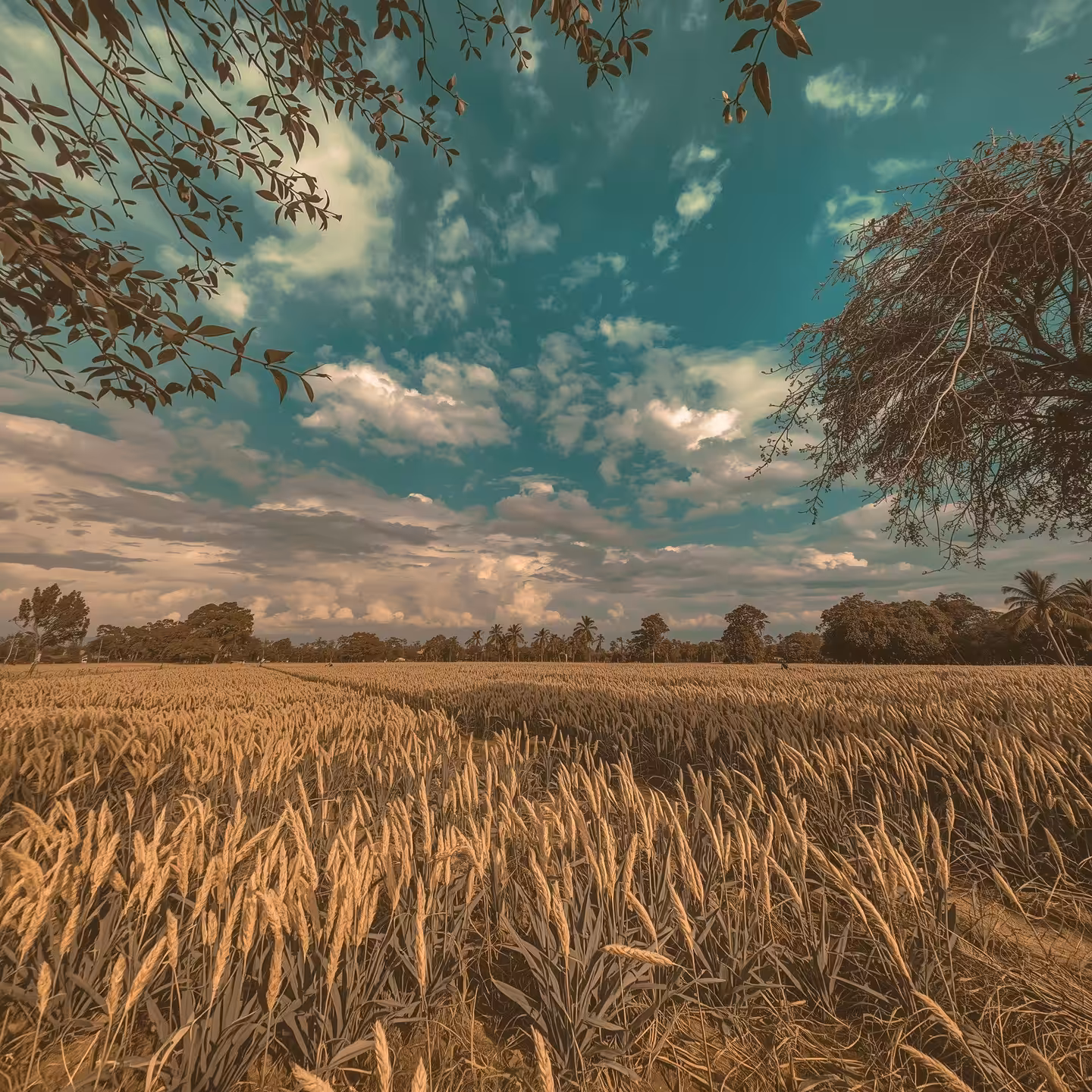 When the Earth Breathes