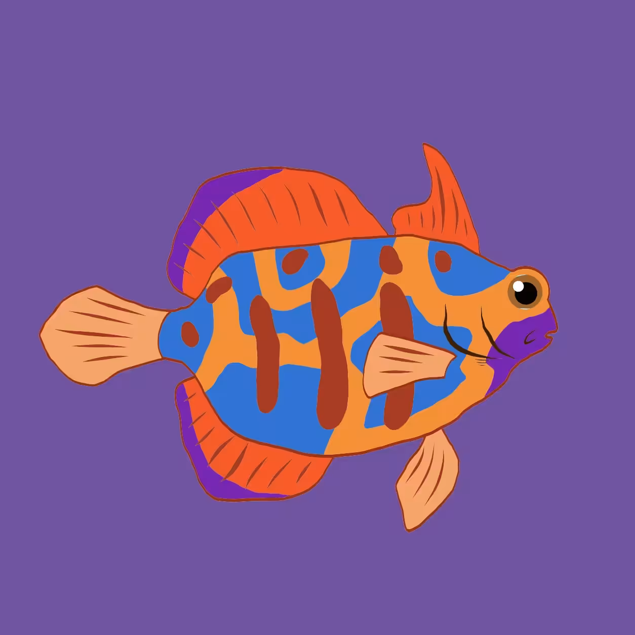 Harper the mandarin angelfish