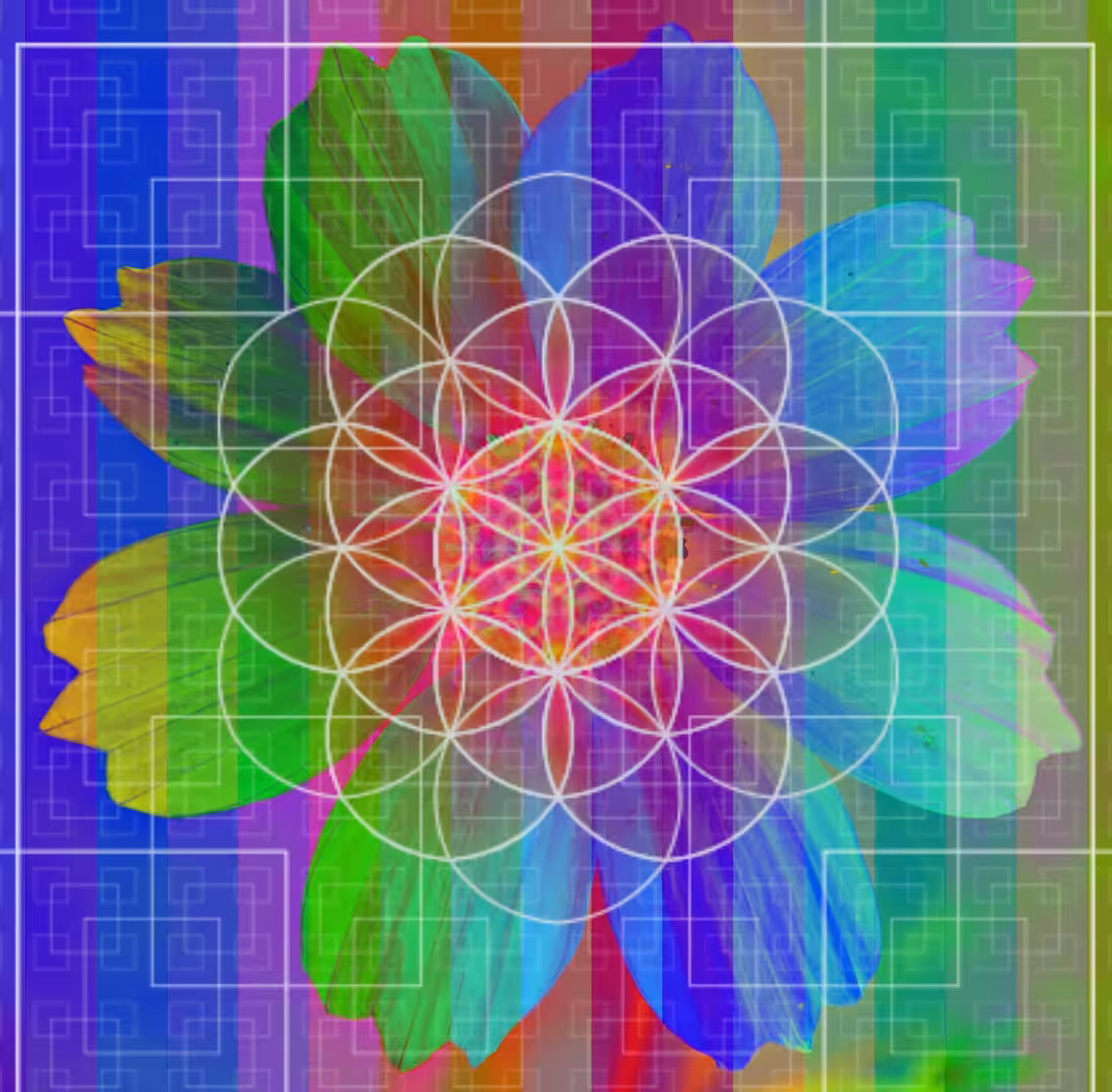 Blissful Flower