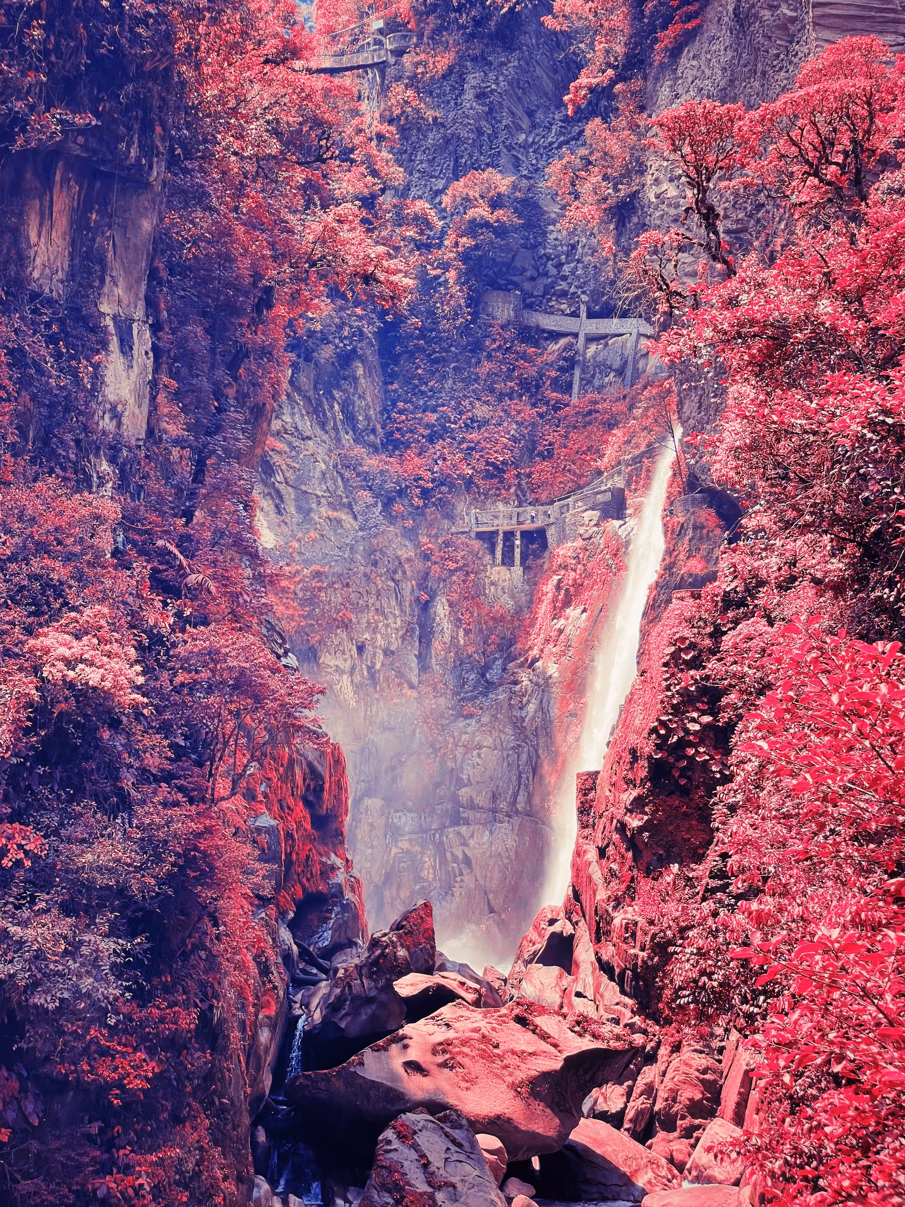 RED #5