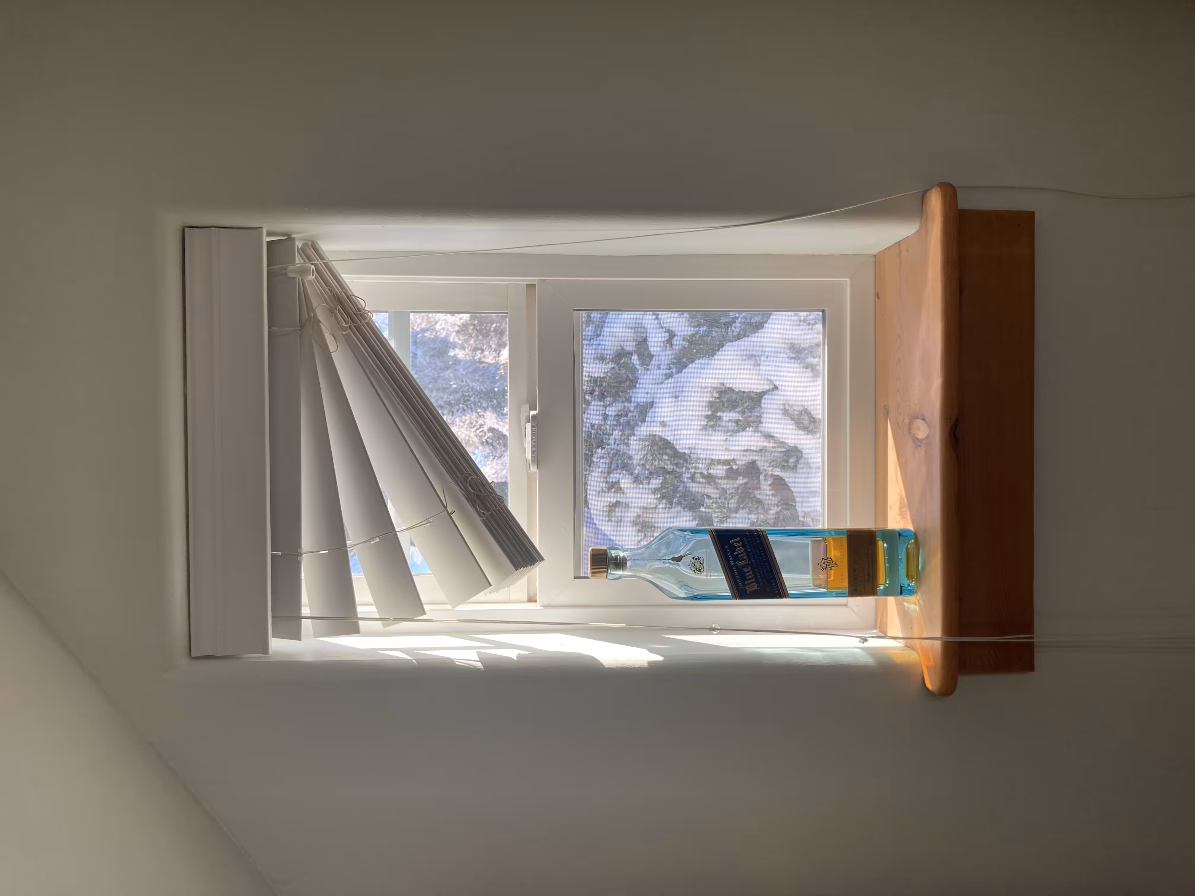 Snowed In