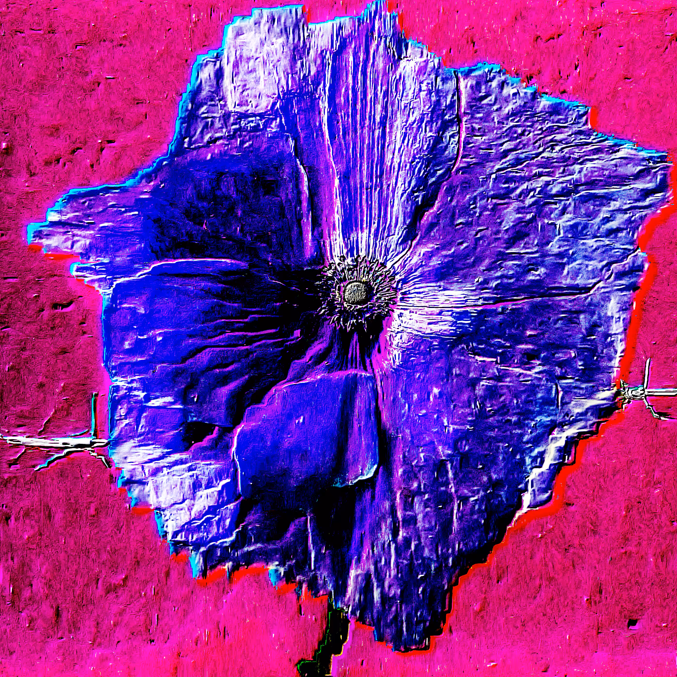 Flower #05 by CYDR