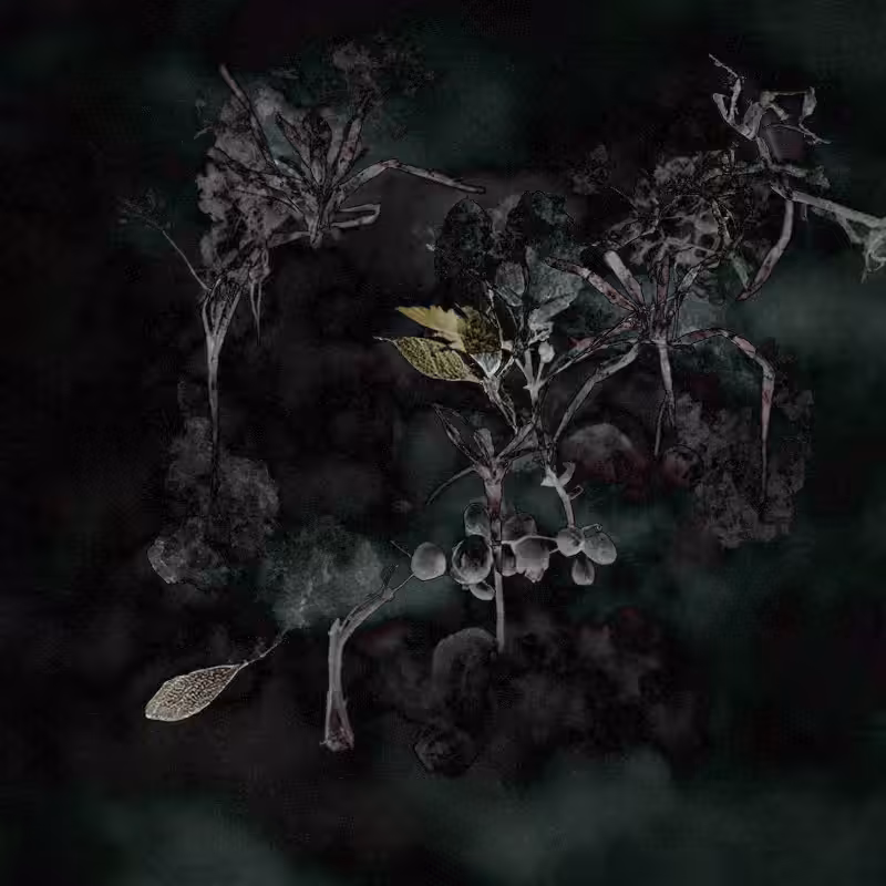 Hauntological Herbarium #23