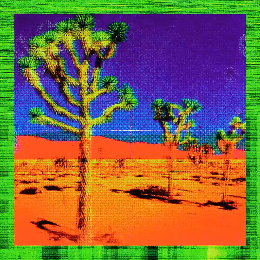 Arid Articulations #3