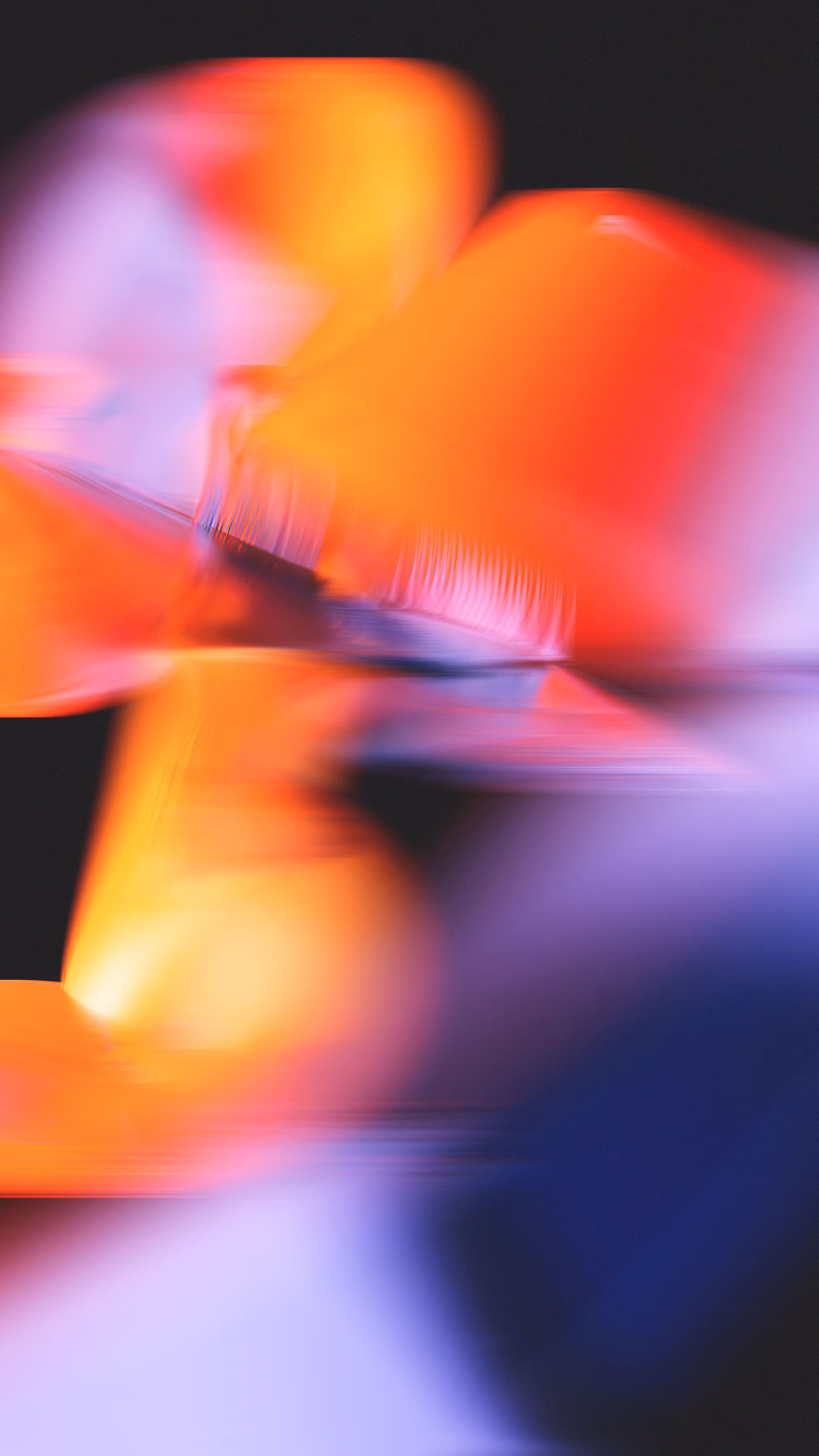 Momentum #72