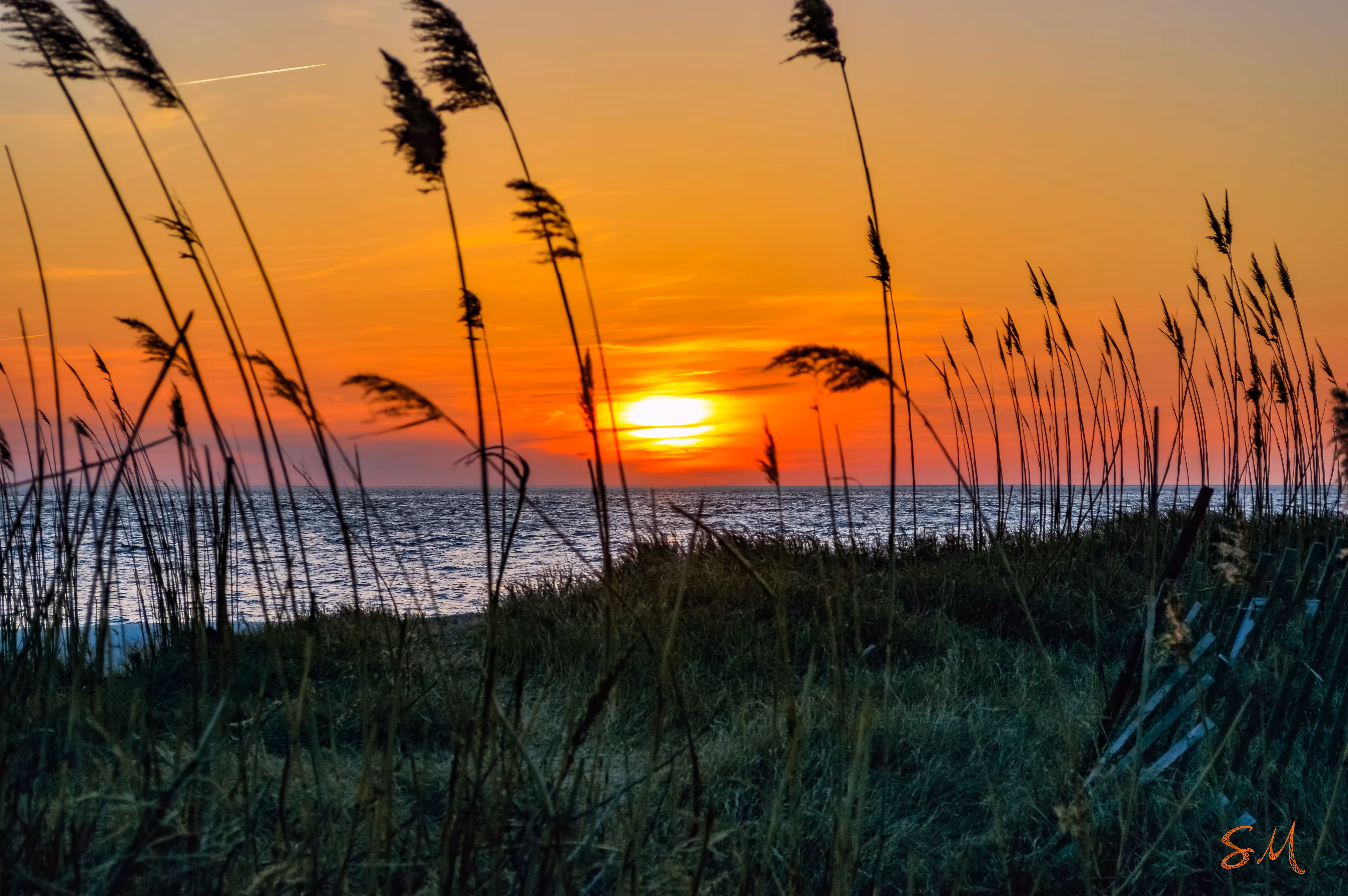 Through the Dunes
