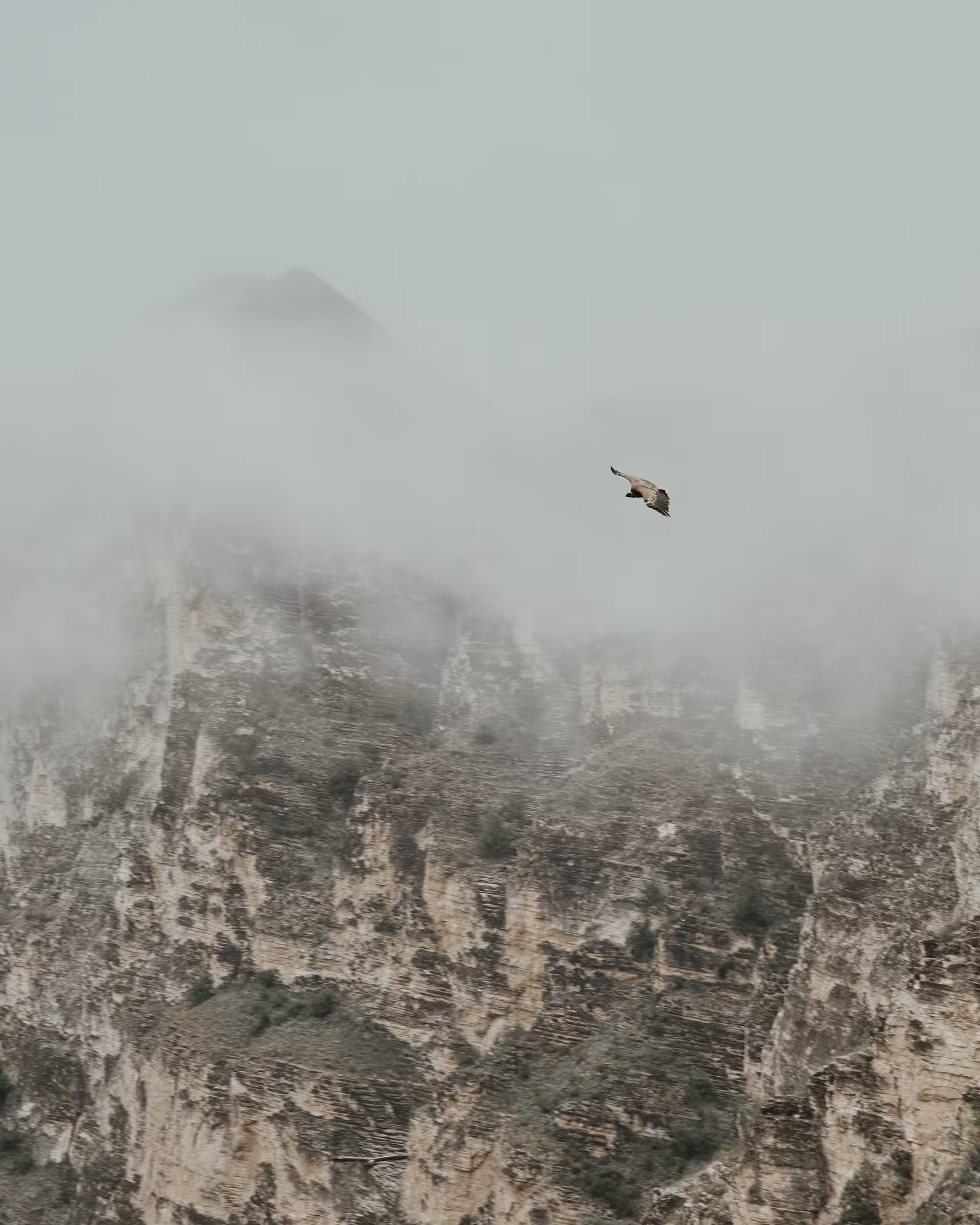 Freedom in the mountains