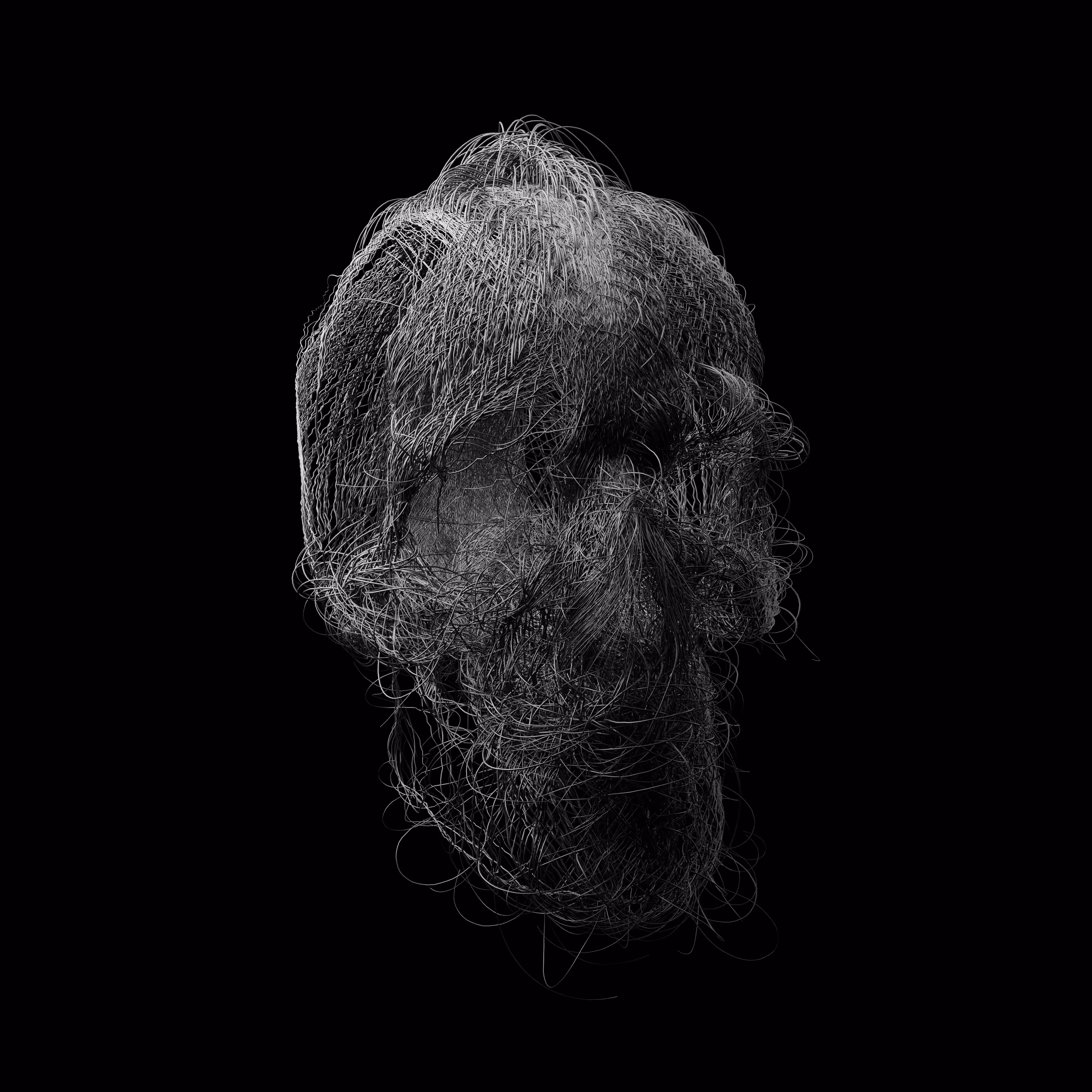 Hairy skull