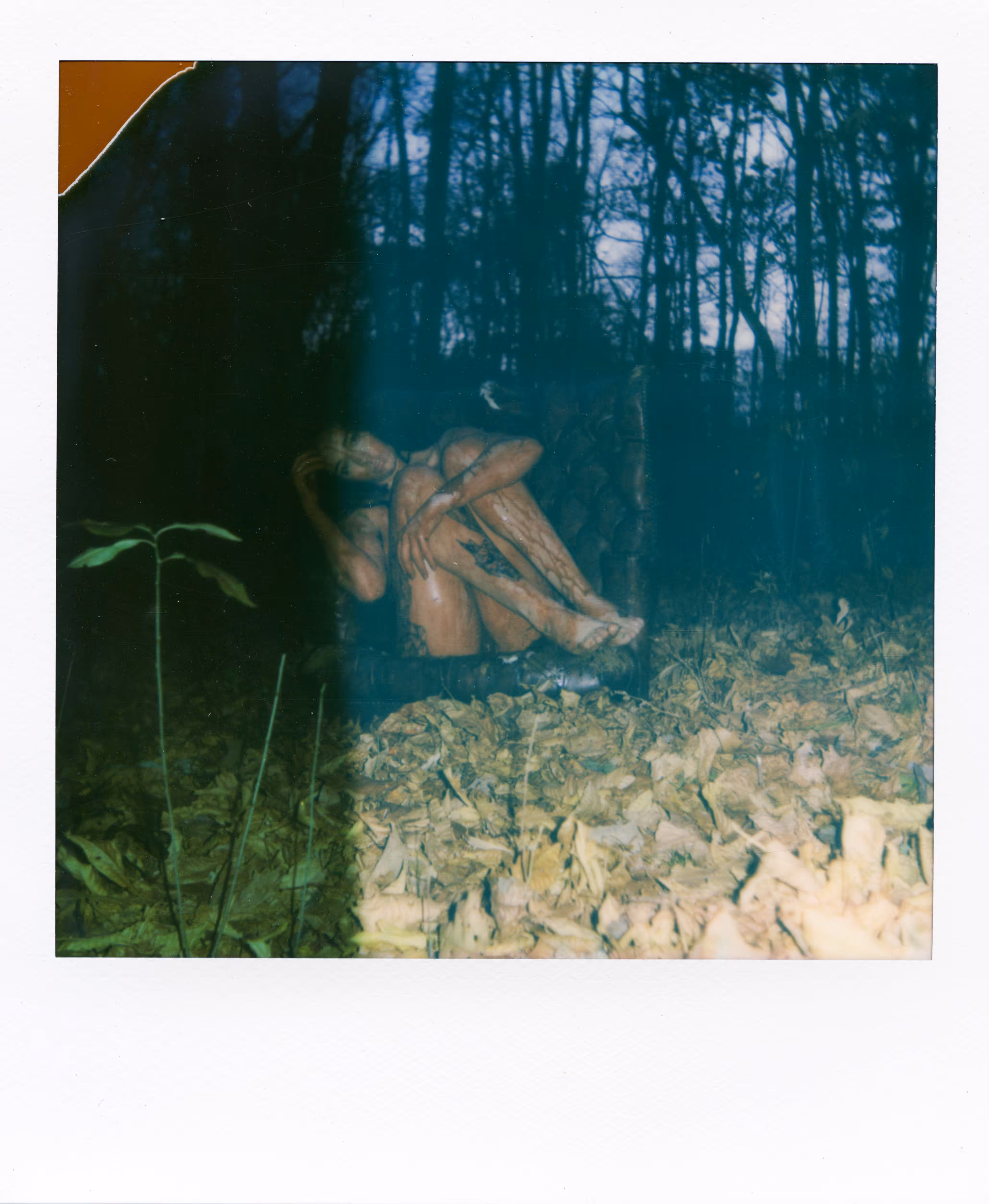 November #2