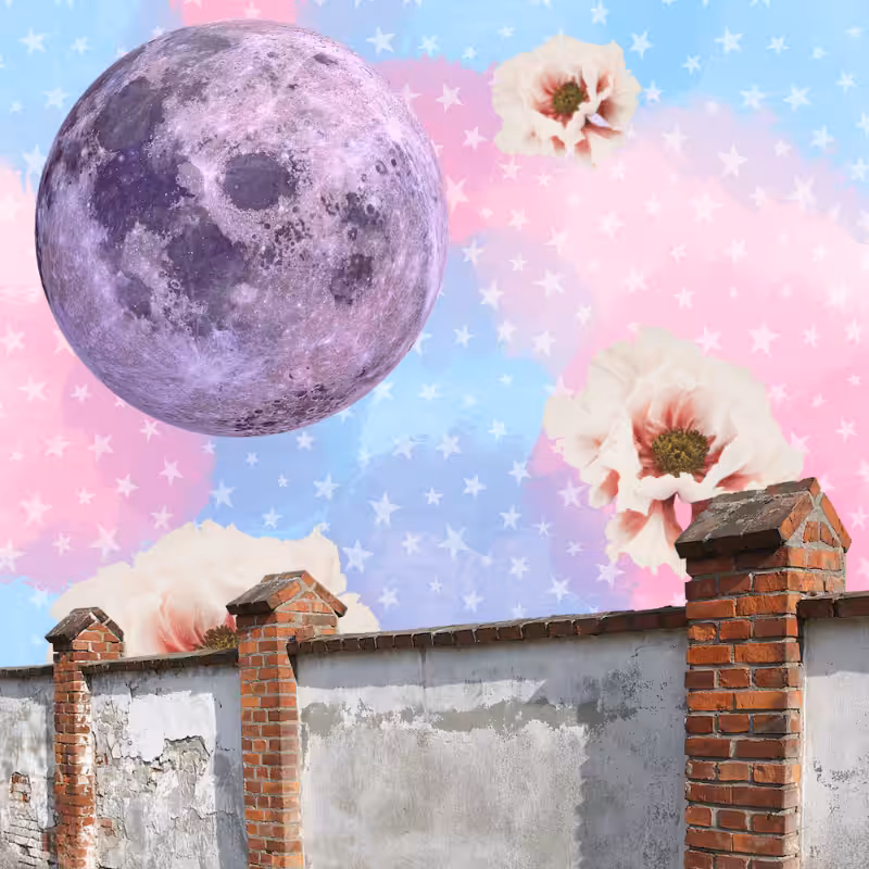 Pink Moon #40