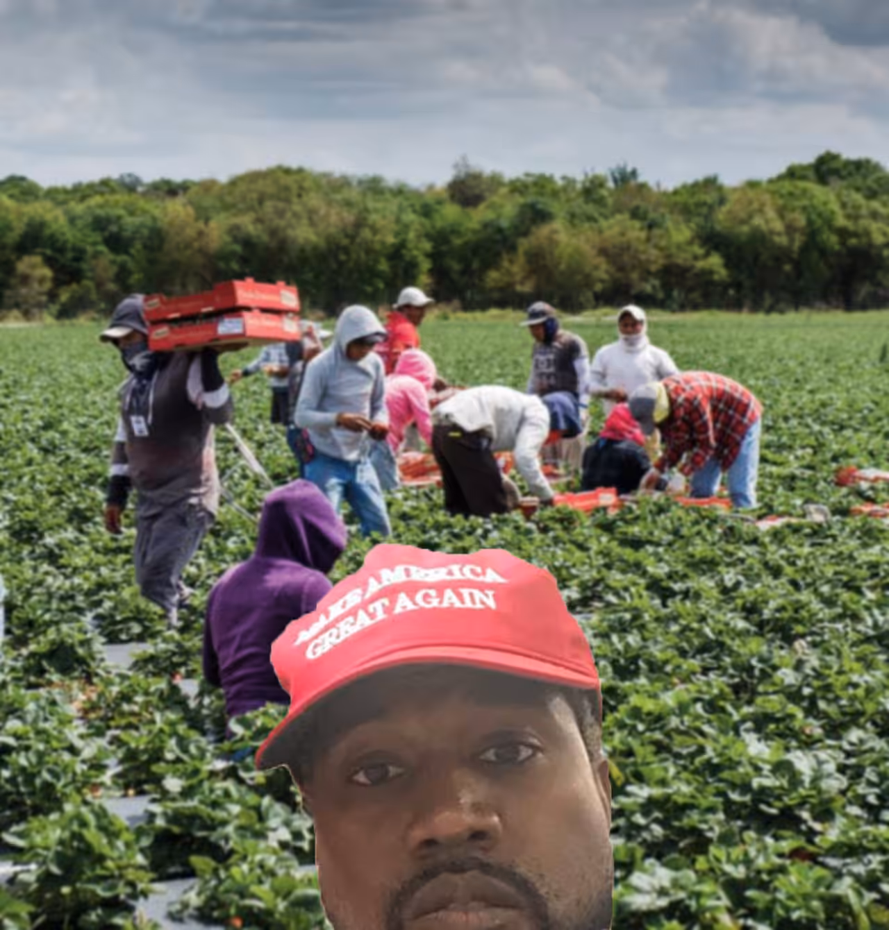 MAKE JORNALERO GREAT AGAIN