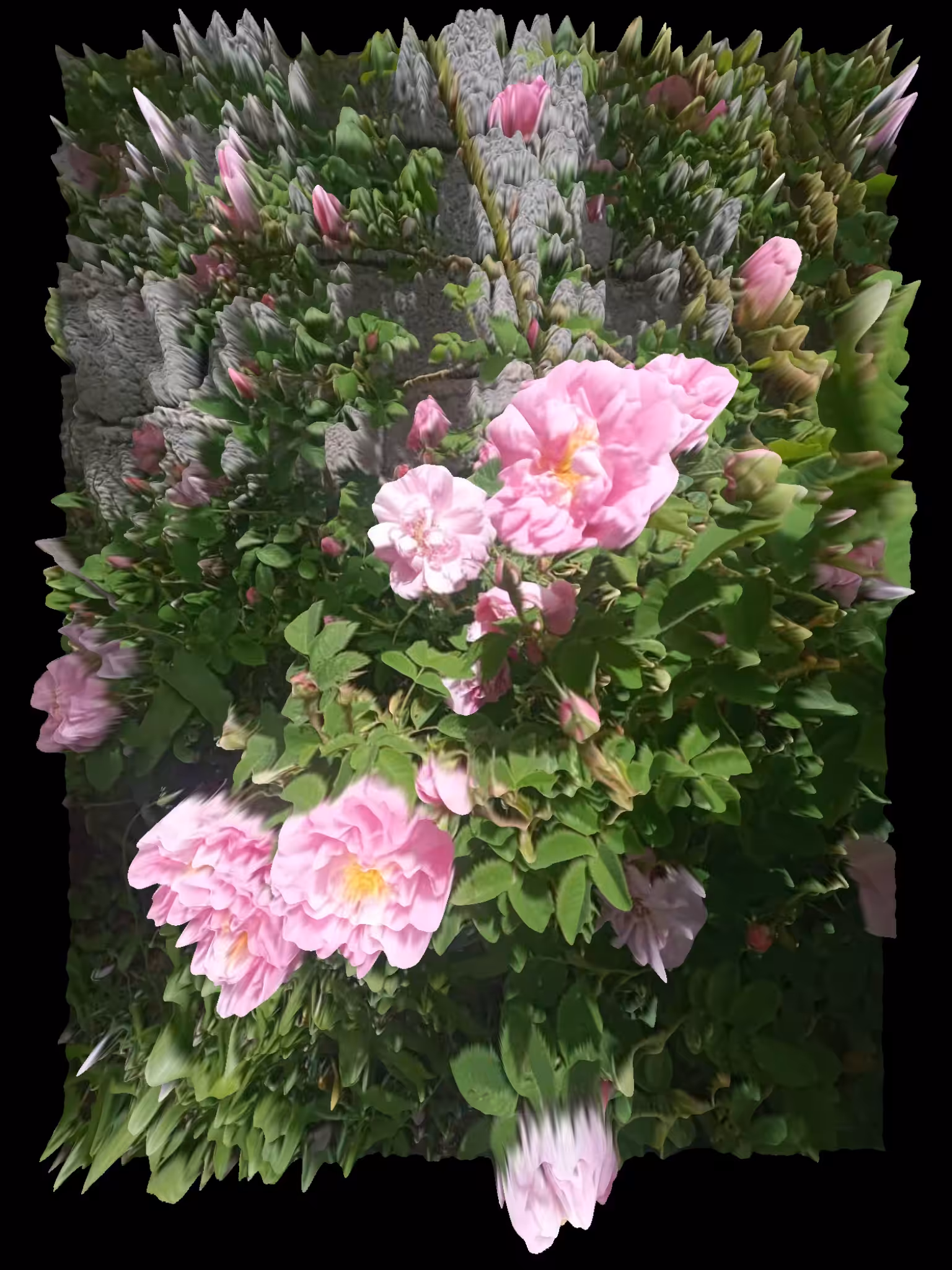 3D Pink