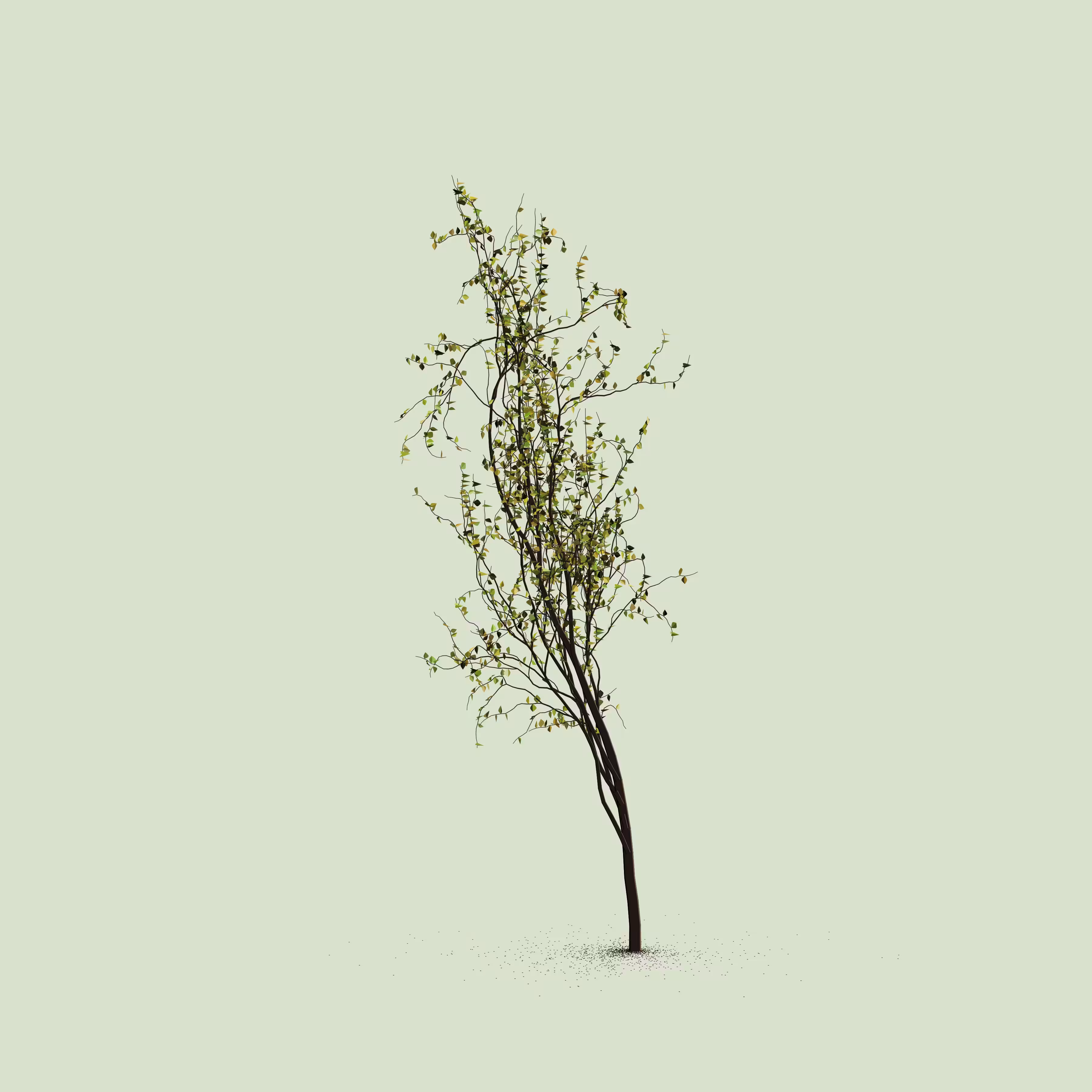Little Trees #144