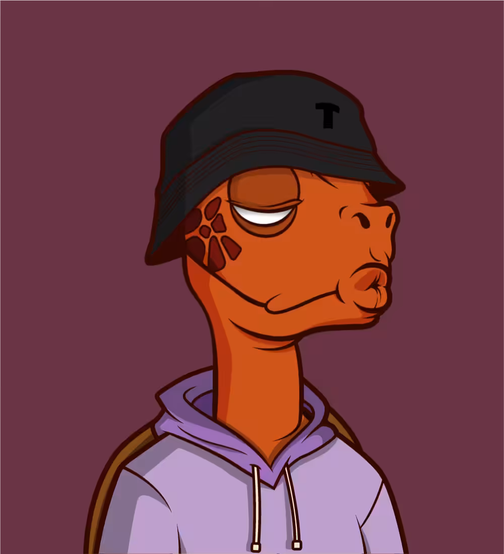 Tiny Turtle 19