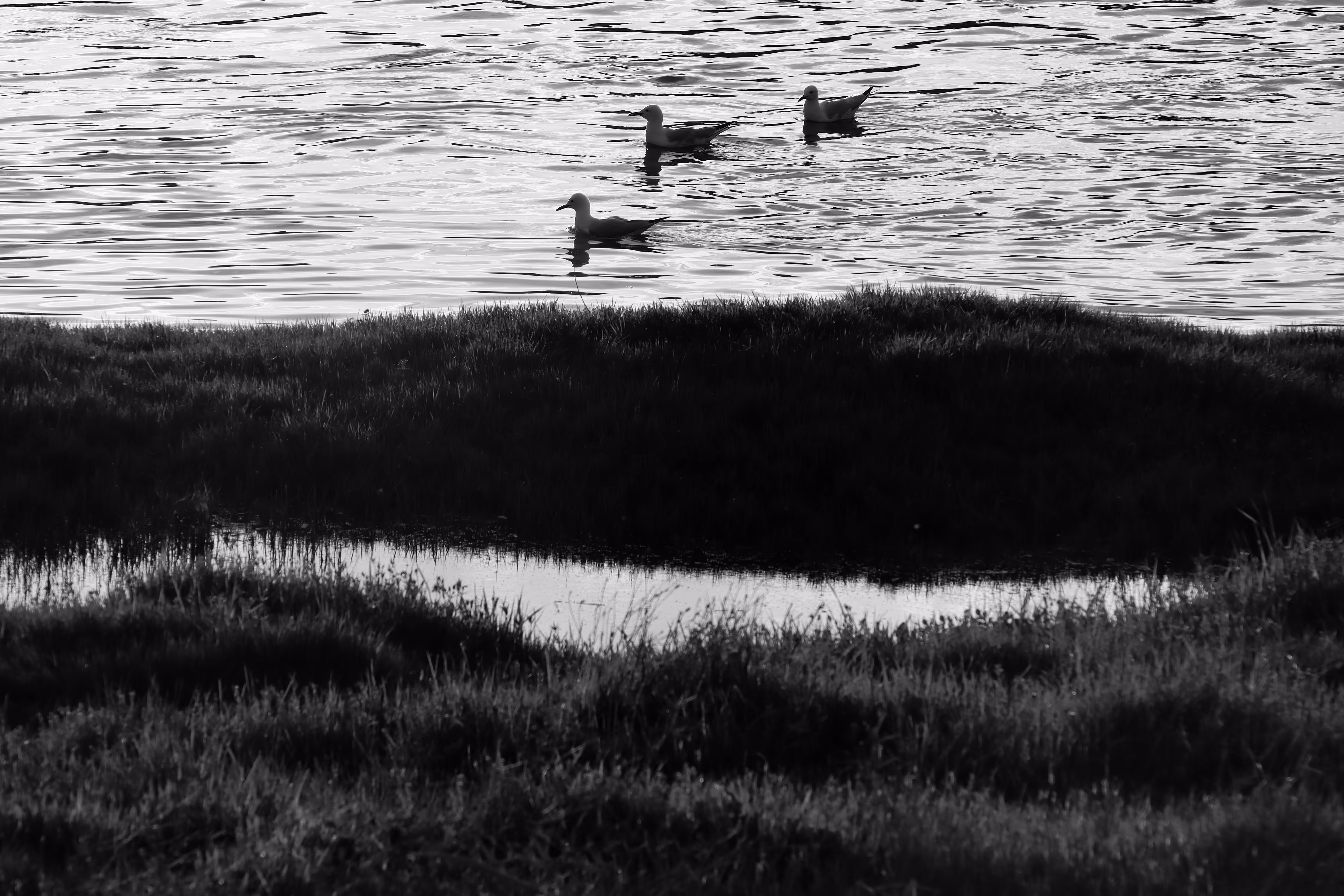 Lake