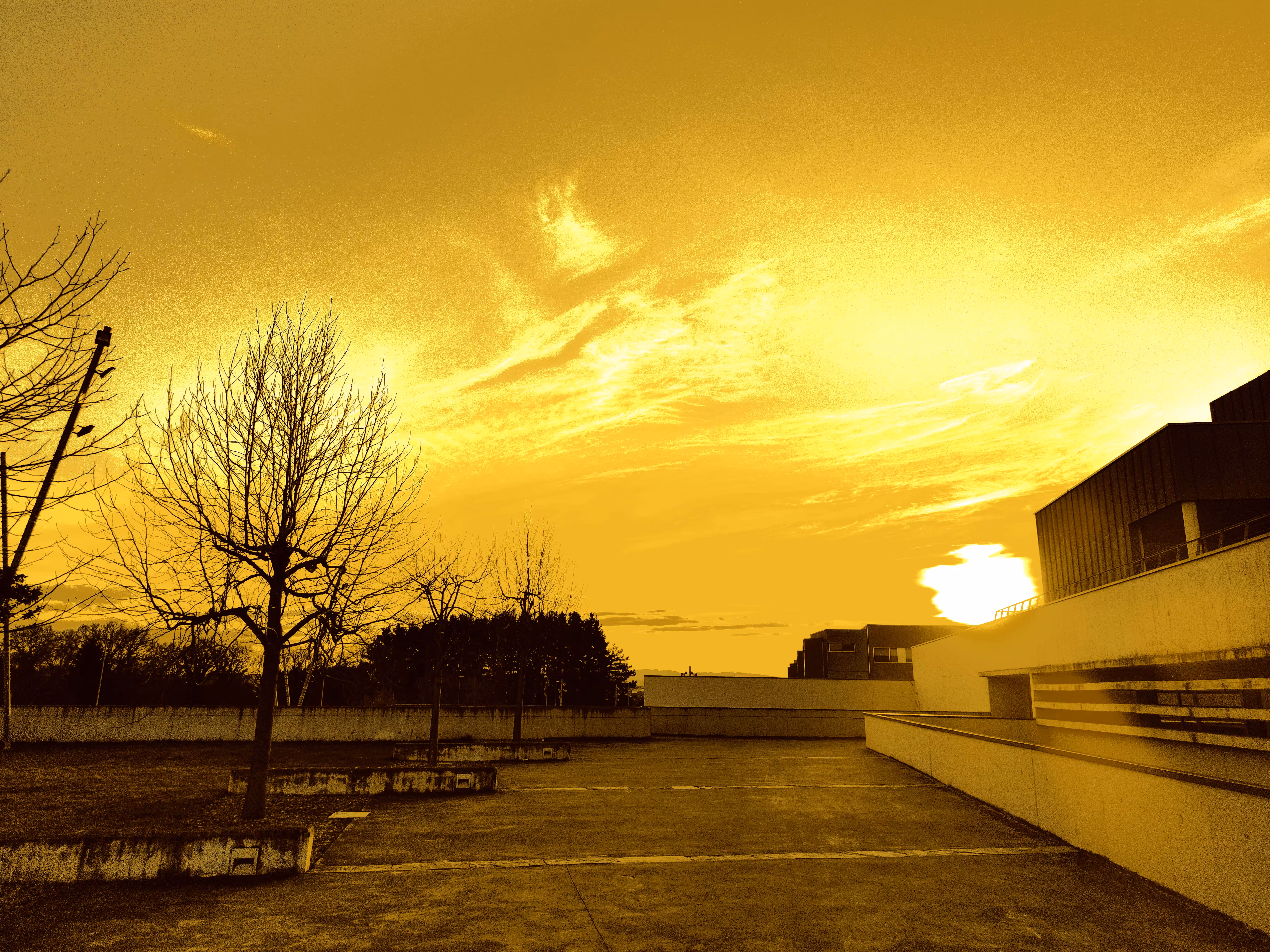 Golden Sunset