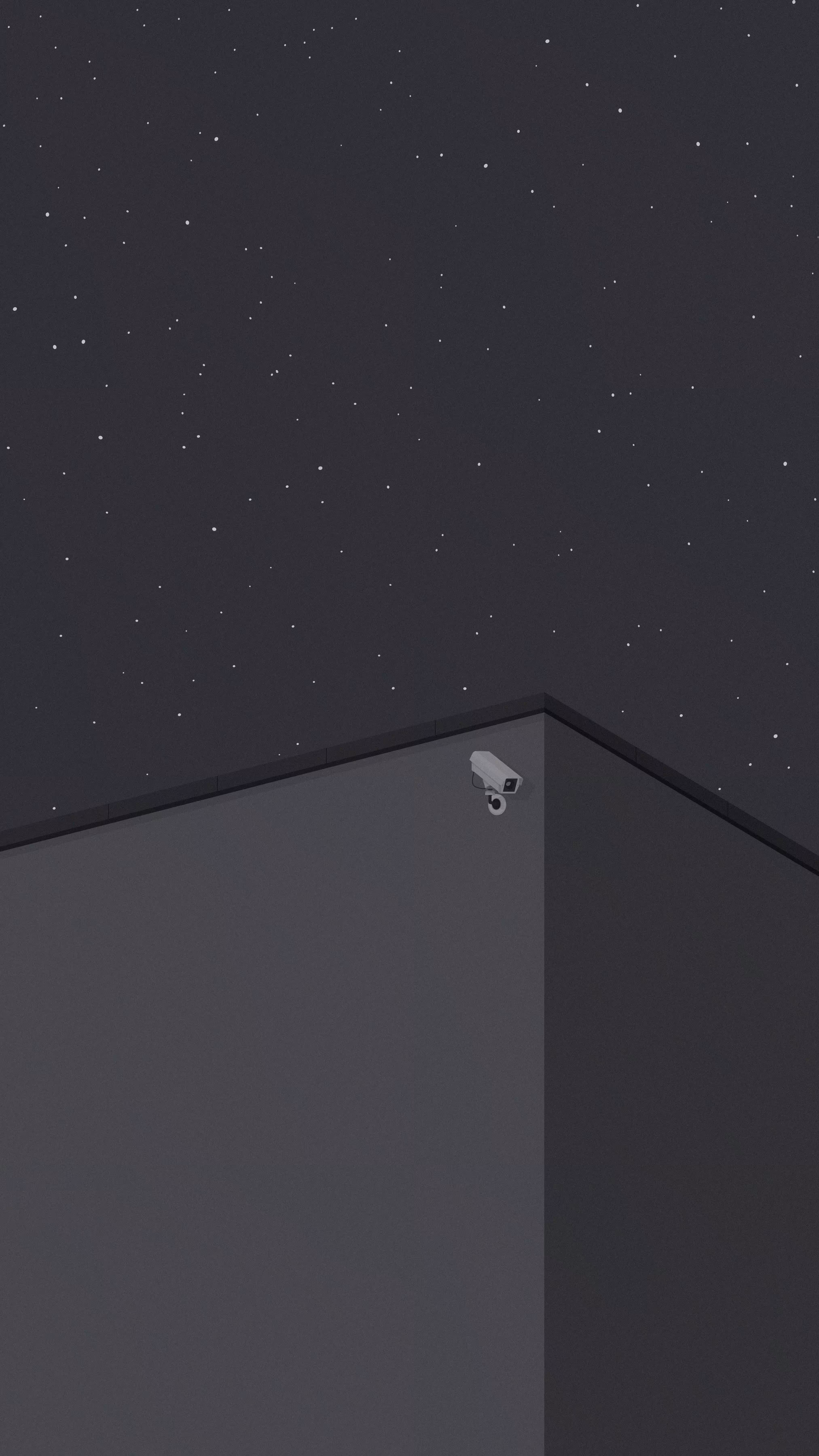 Midnight Surveillance