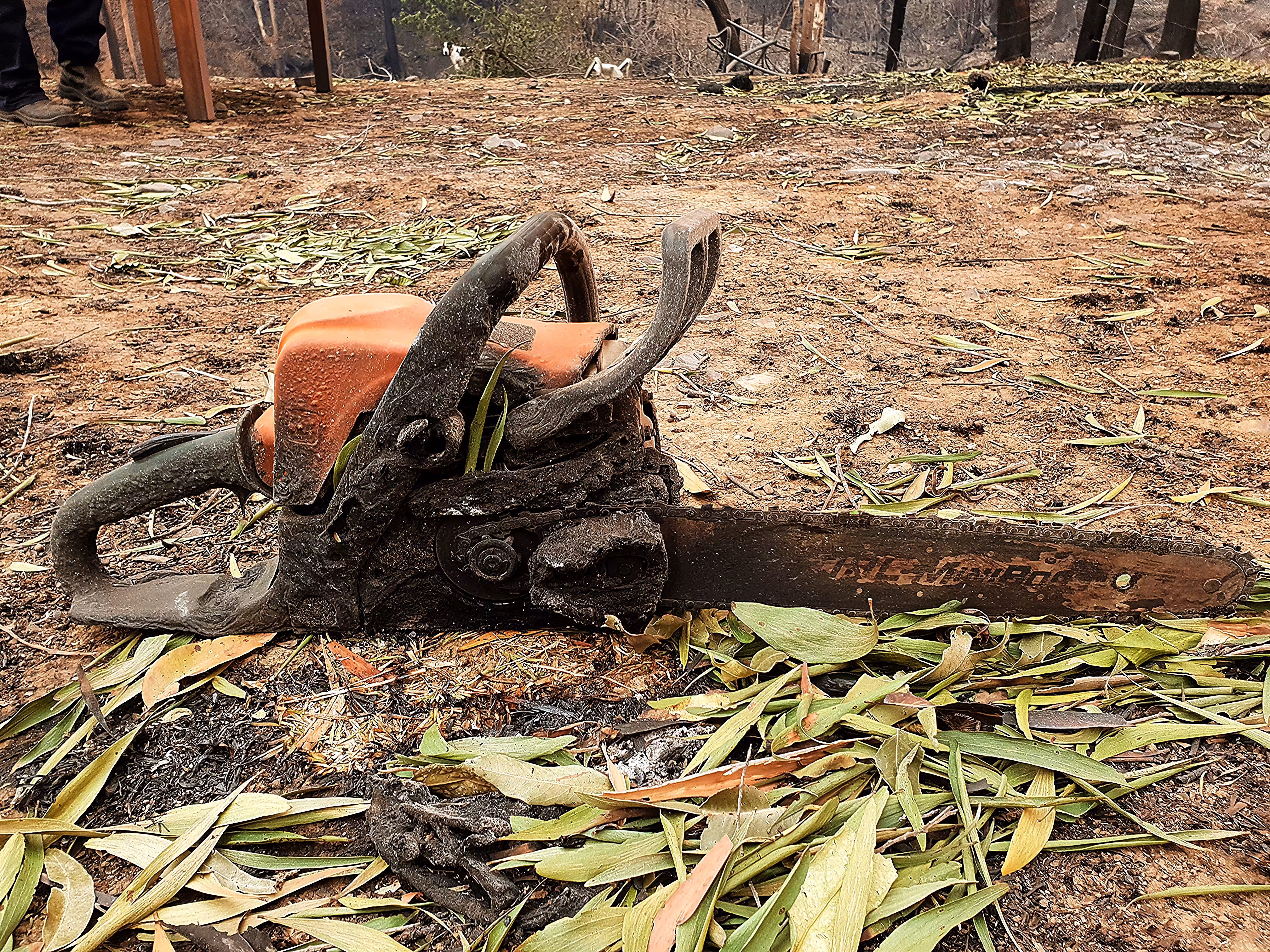 6. Wood Boss No More 