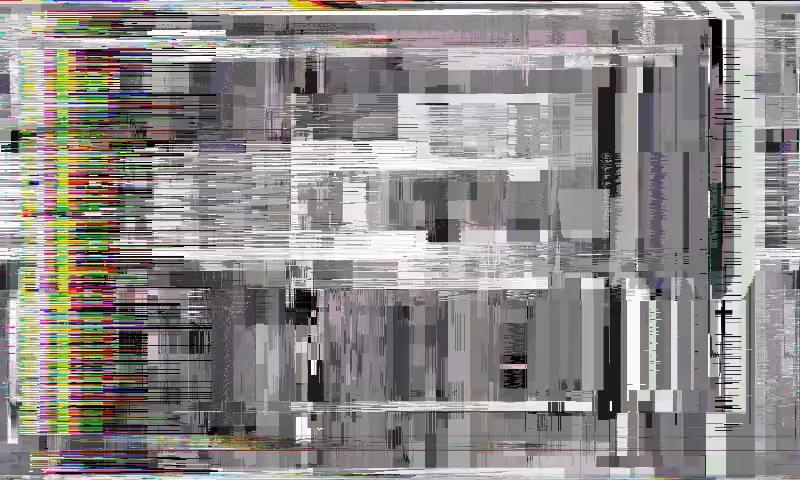 Shredded Reality #11