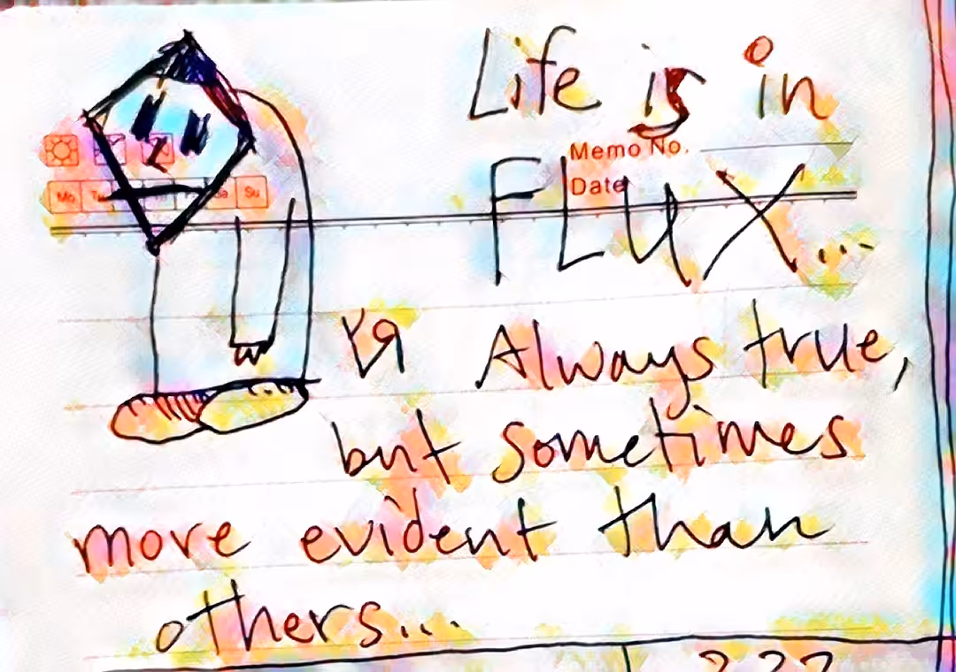 Life is in Flux...