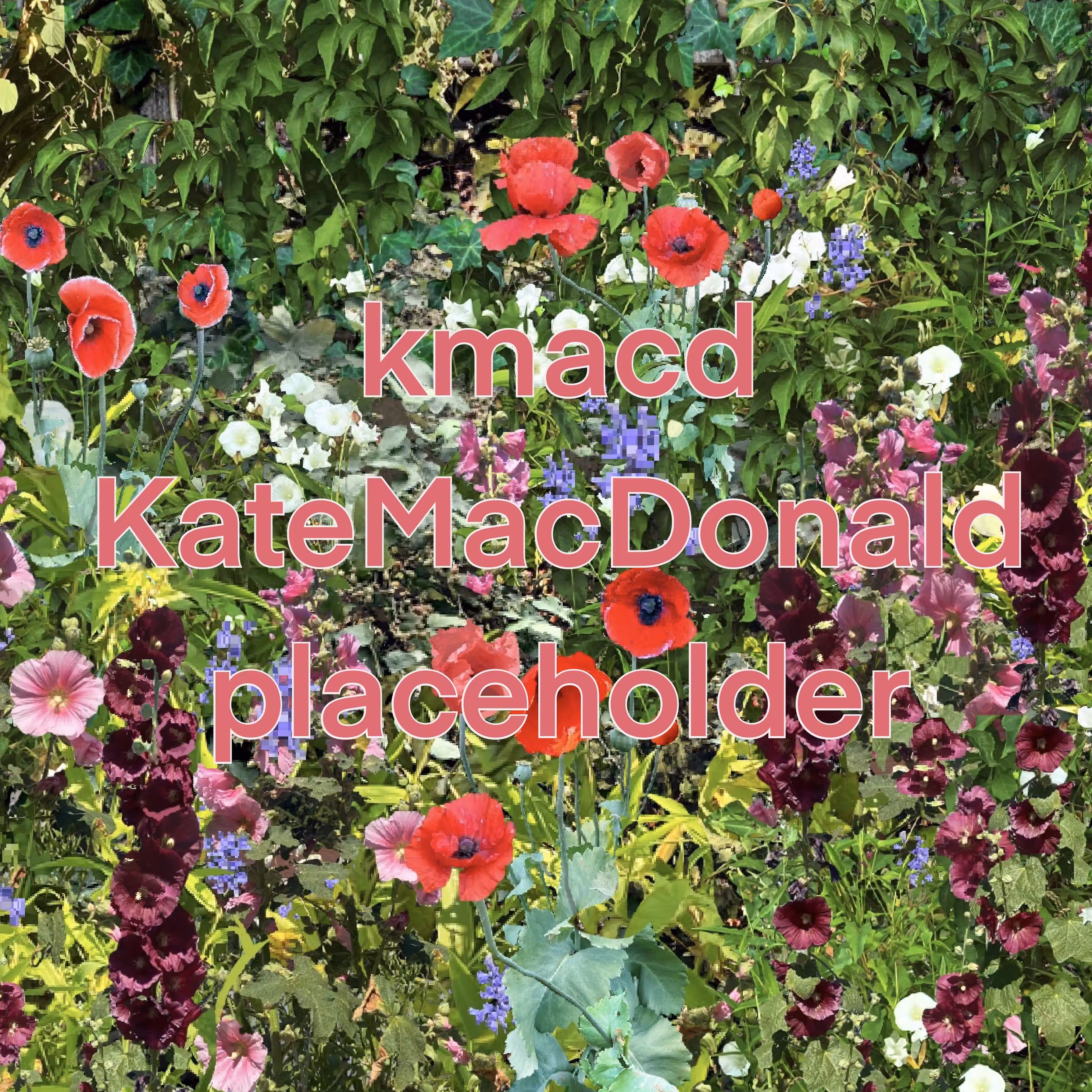 KateMacDonald Editions