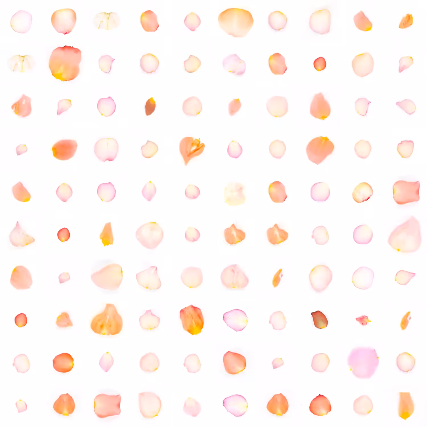 Infinite Petals 10x10#477
