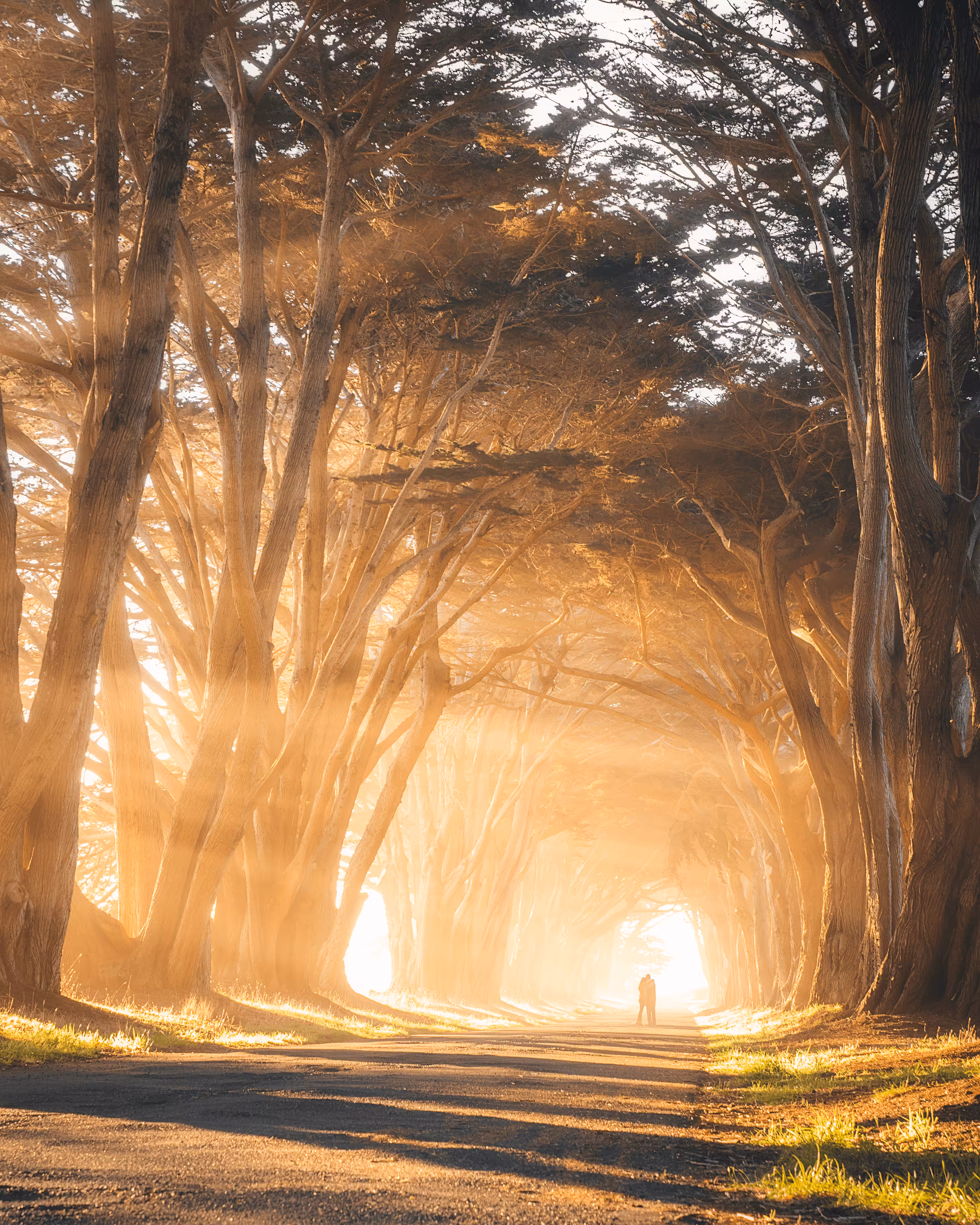 Bay Beginnings #12 // Lover's Lane