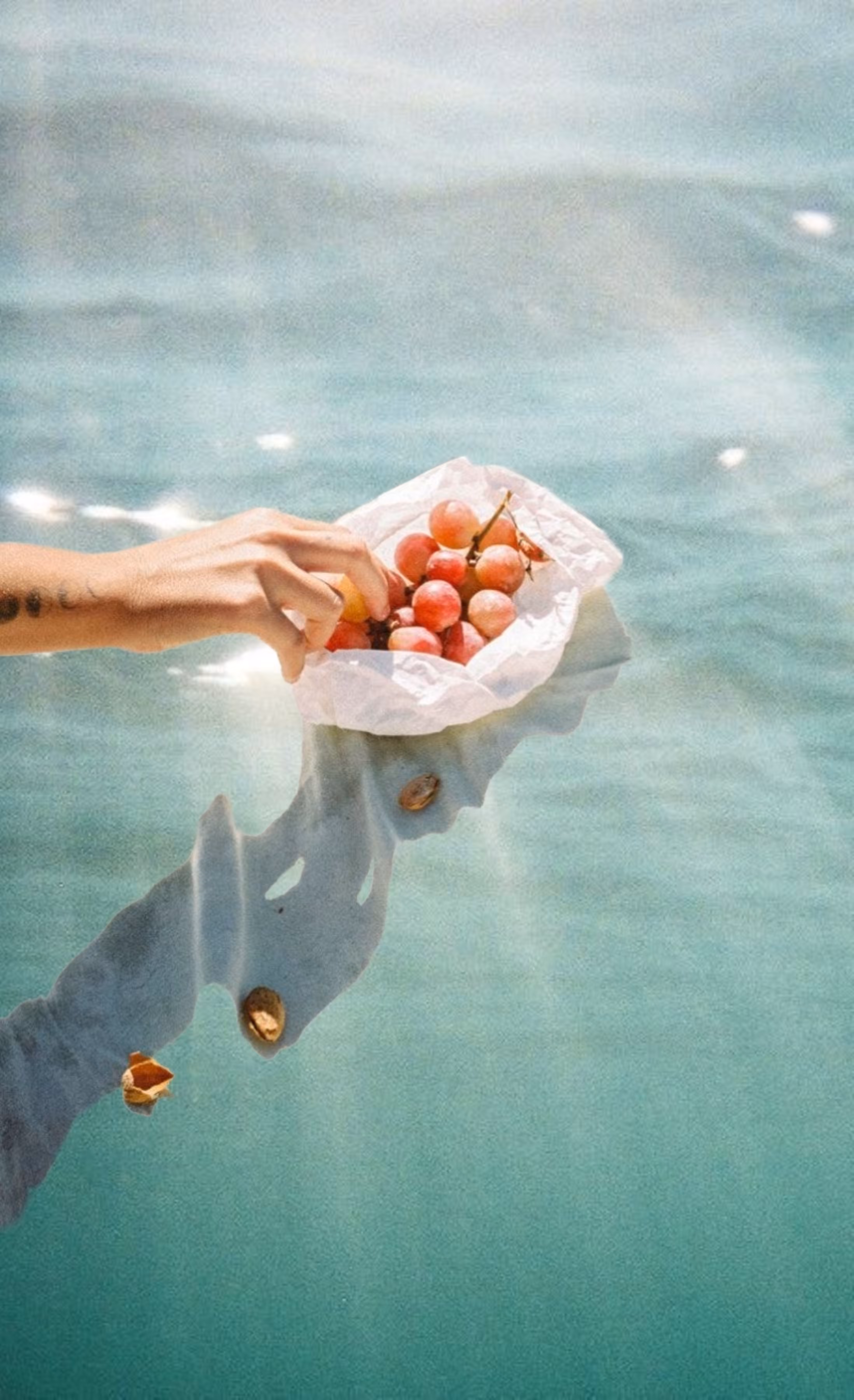 Summer's Gone