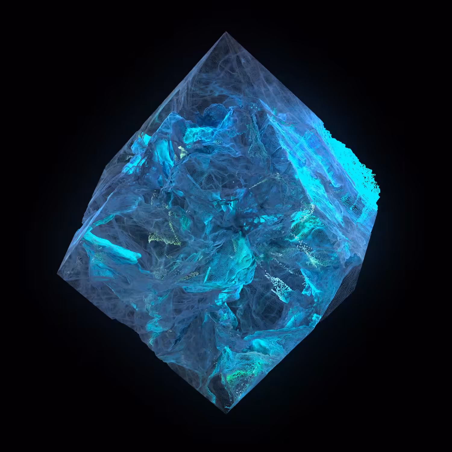 Crypto Sculpture 12