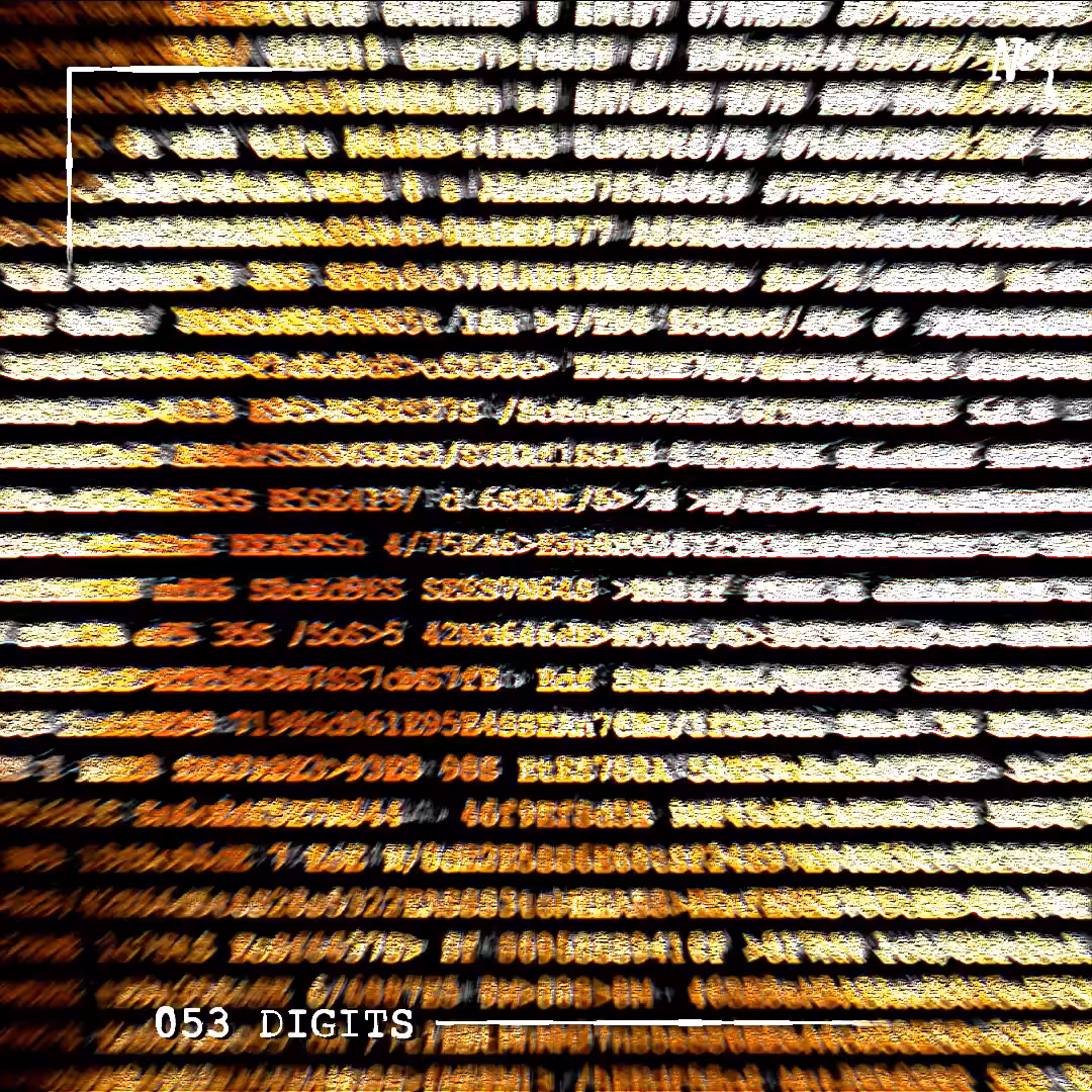 053 DIGITS