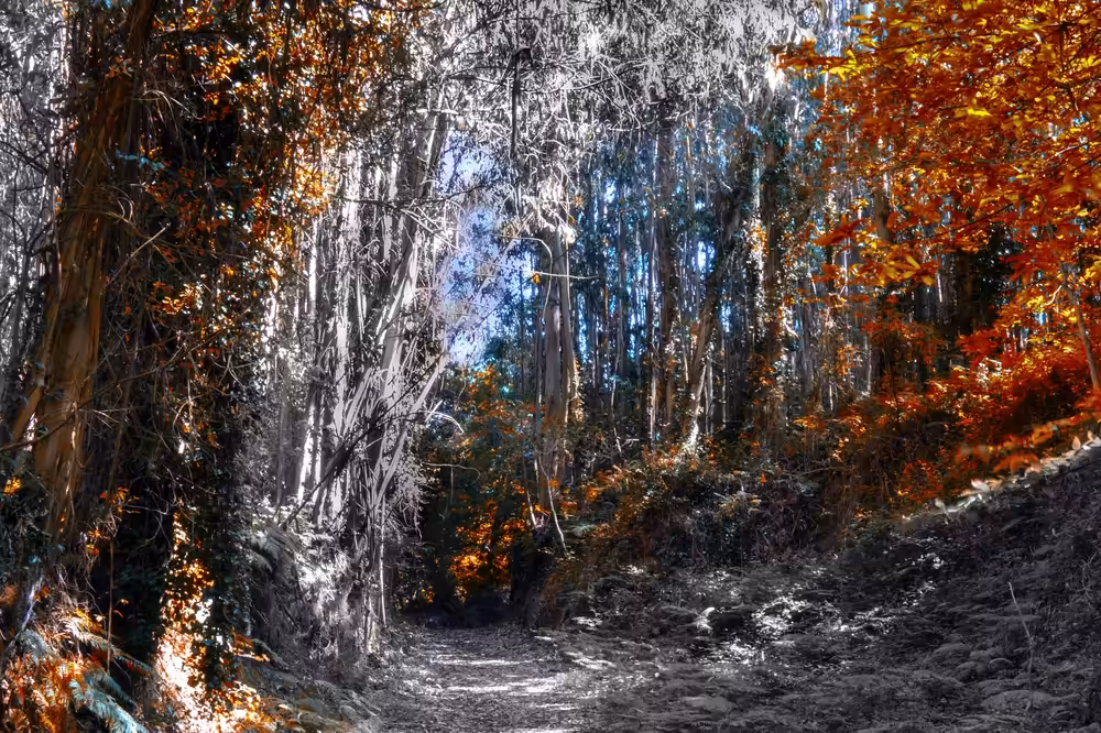 The path of light