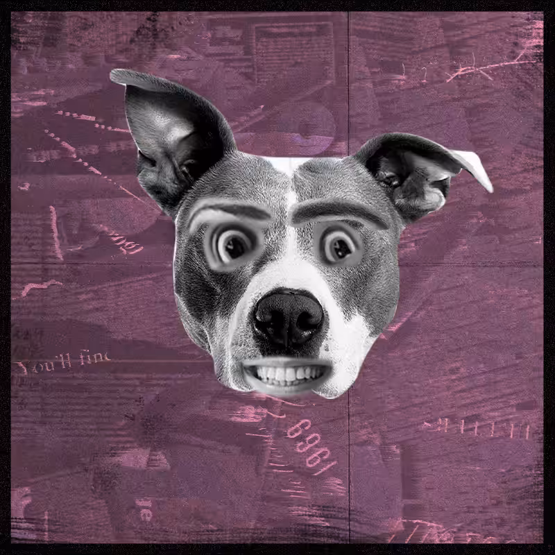 Doggenstein #8