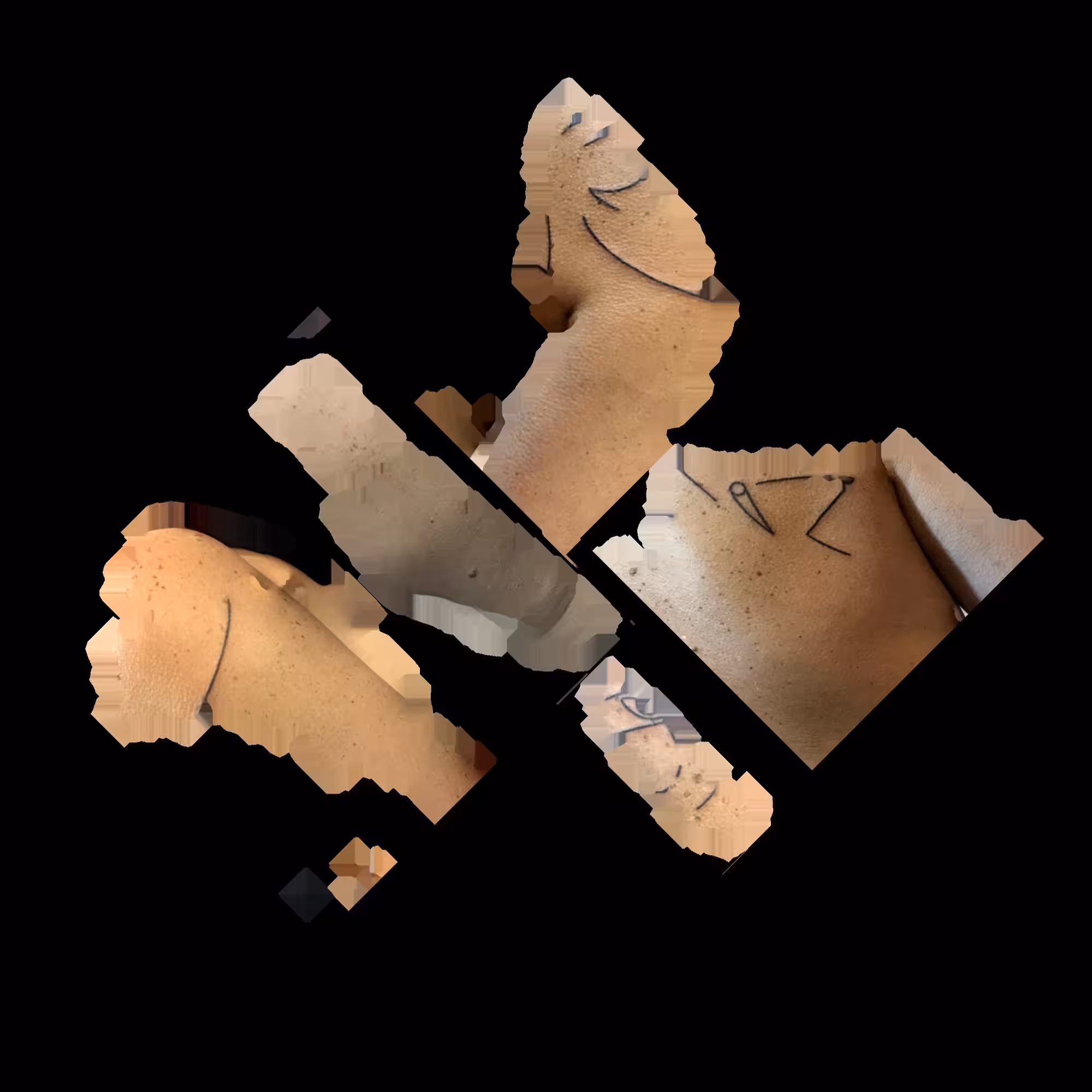 SC001