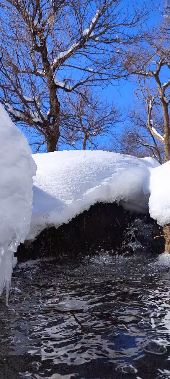 Winter's Tranquil Flow