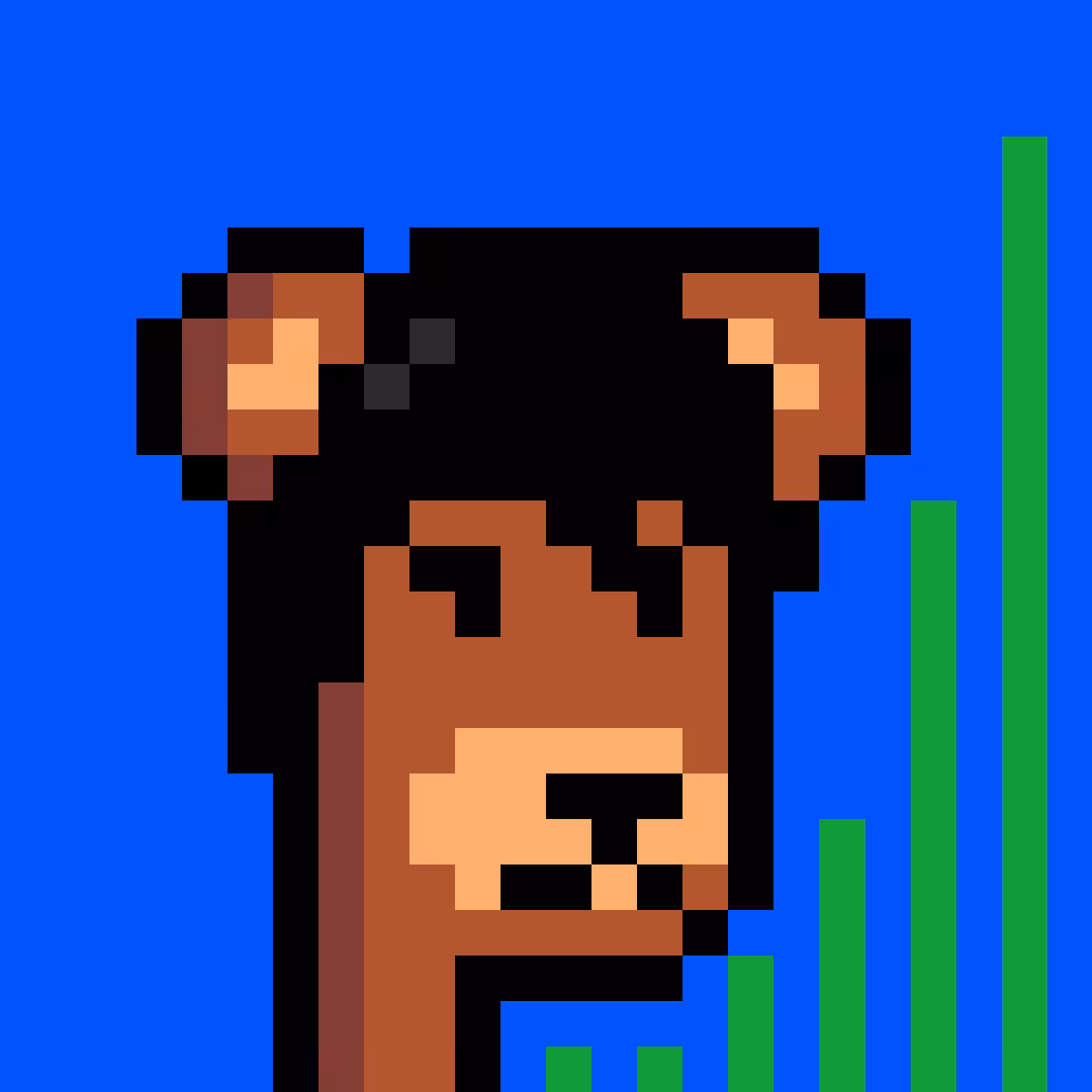 BearPunks #167