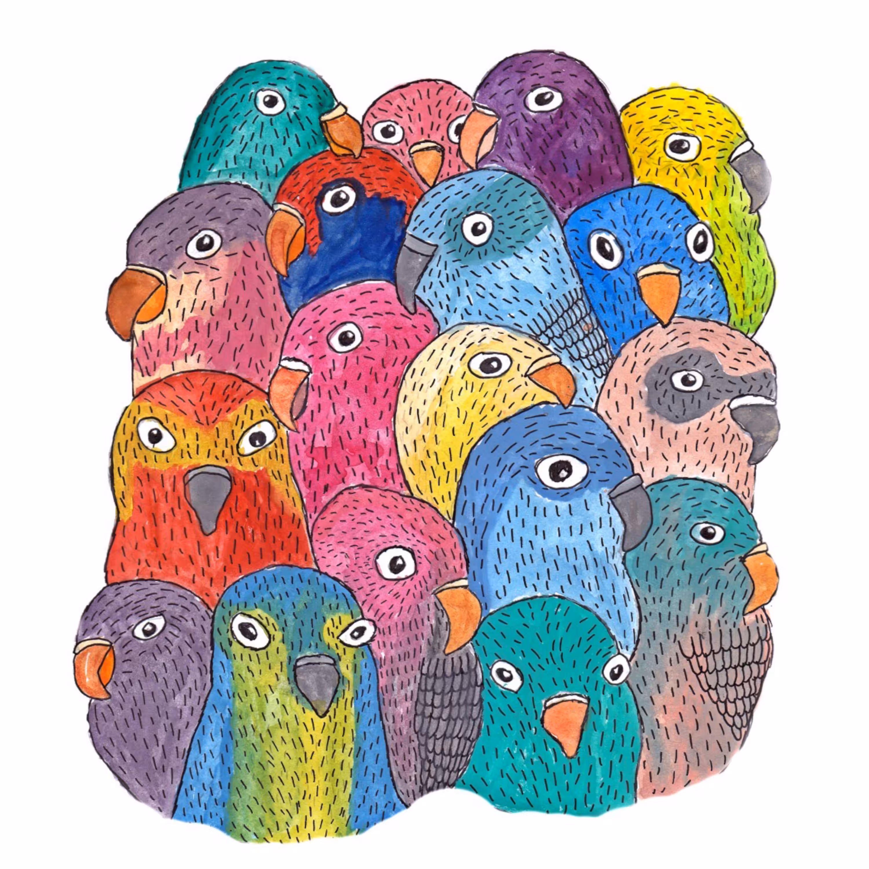 Birds
