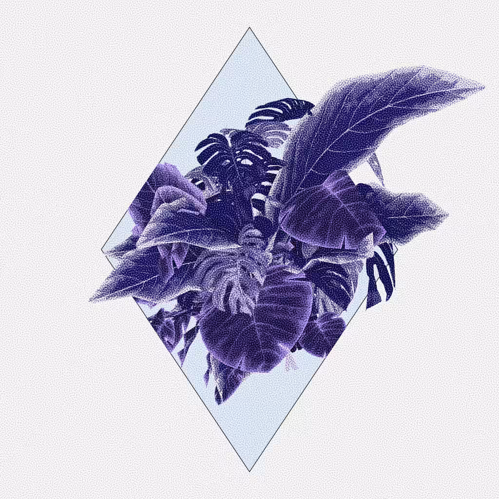 Botany #219
