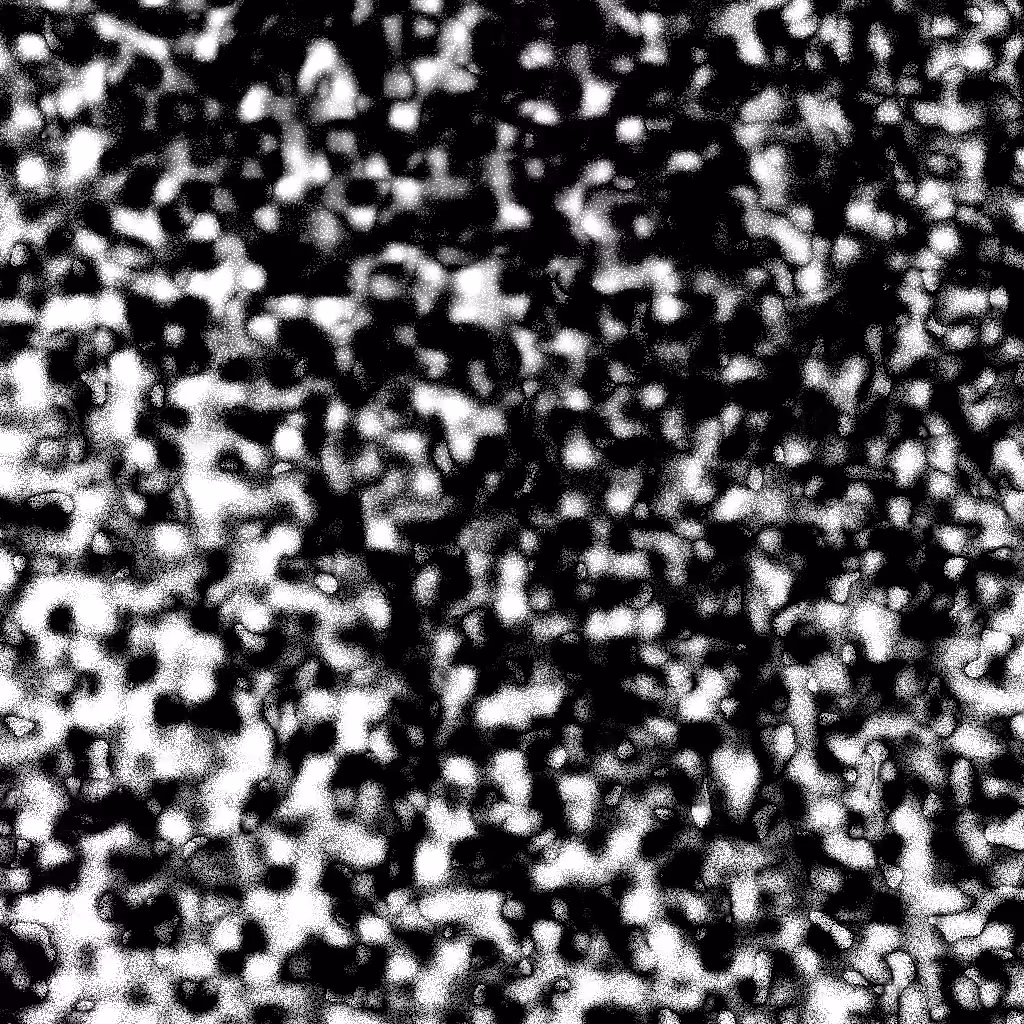 HIDDEN IN NOISE: Noise #64 