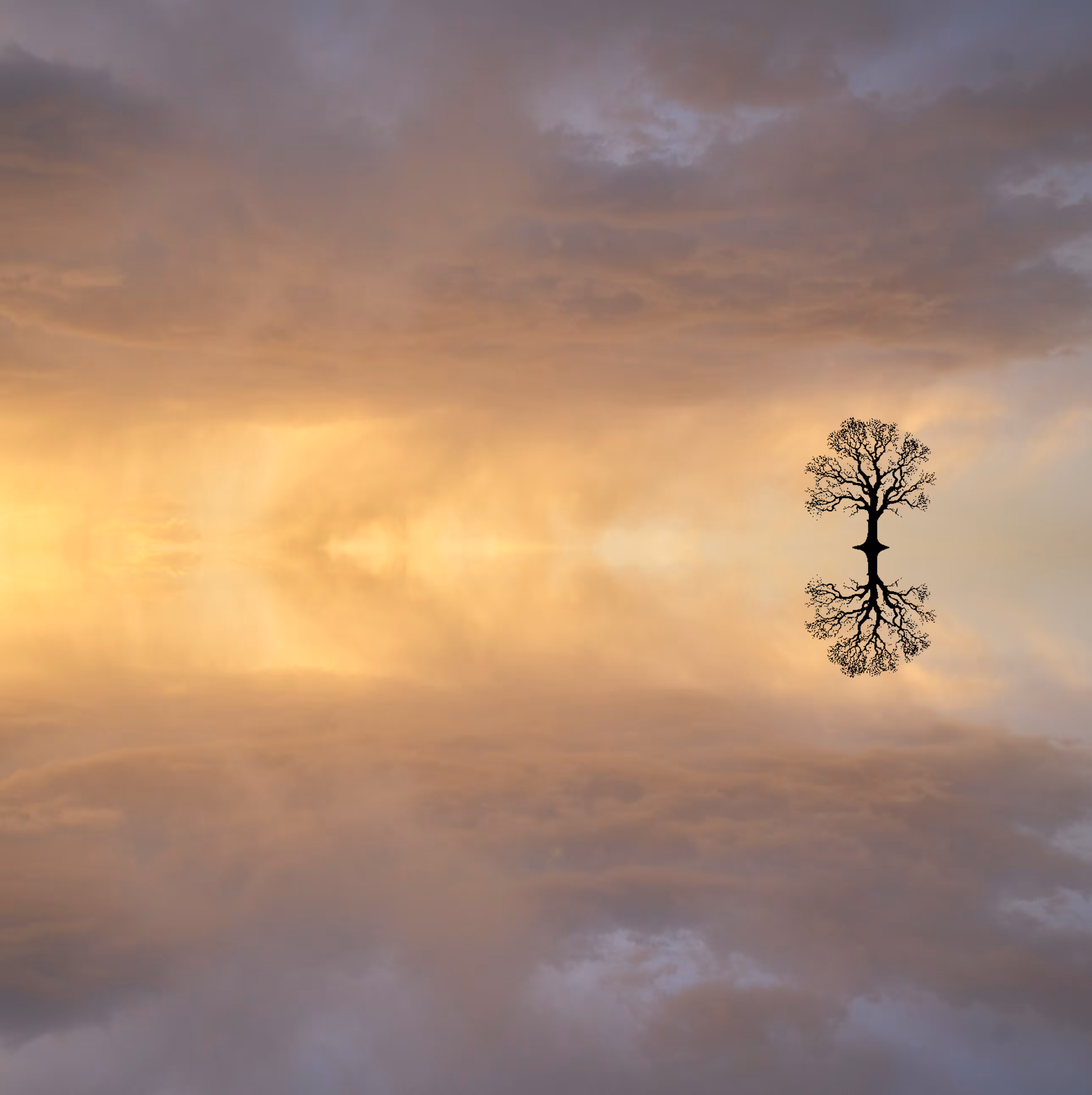 mirrored 5