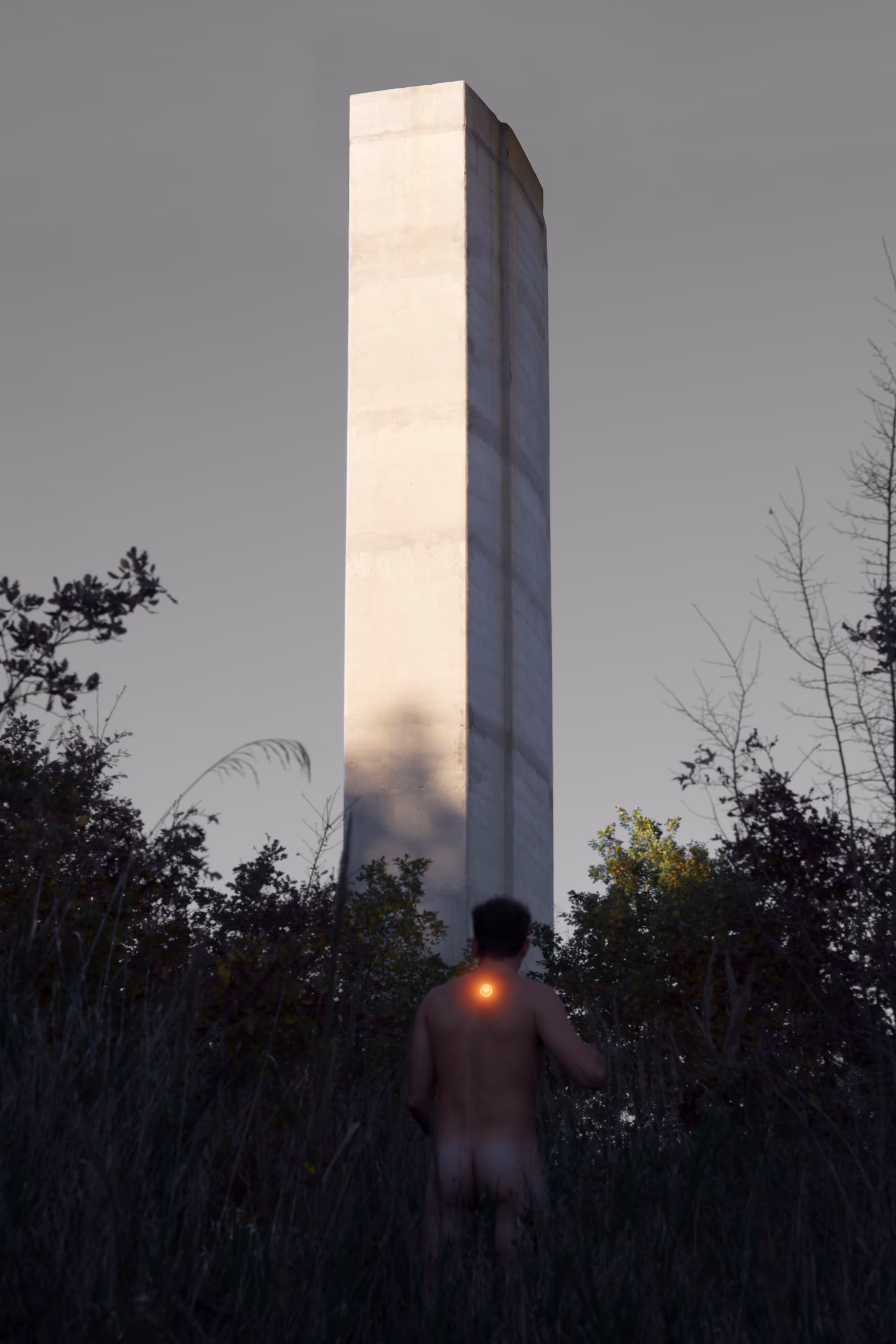Monolith