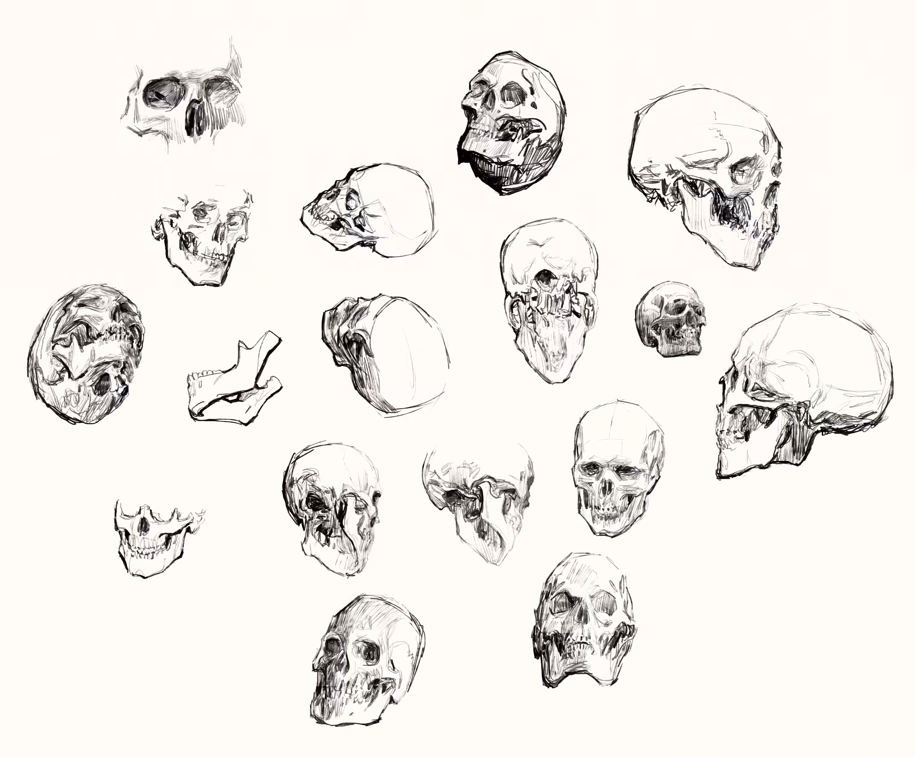 skull studies - 20/02/2022