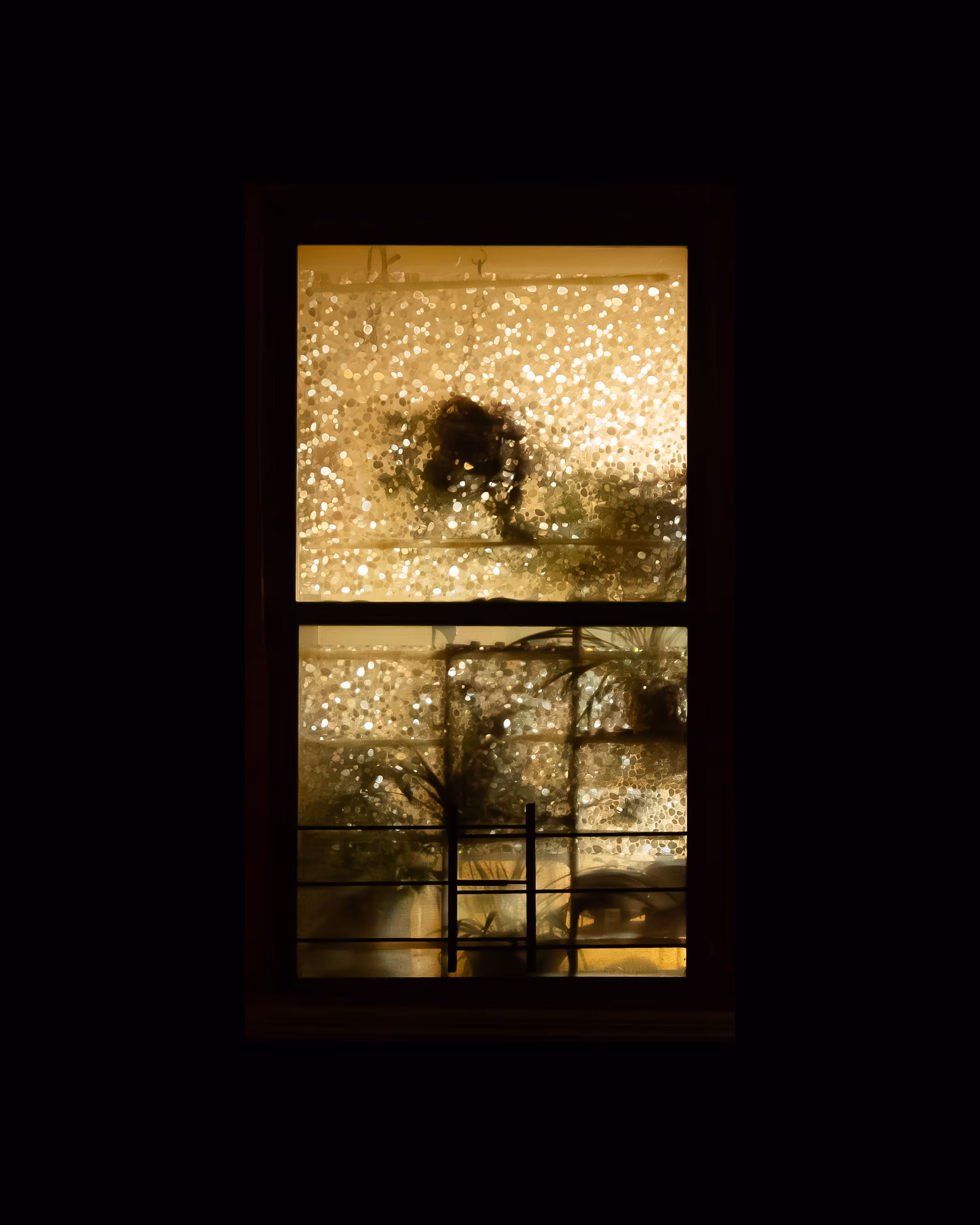 WINDOWS // NYC: WINDOW 591