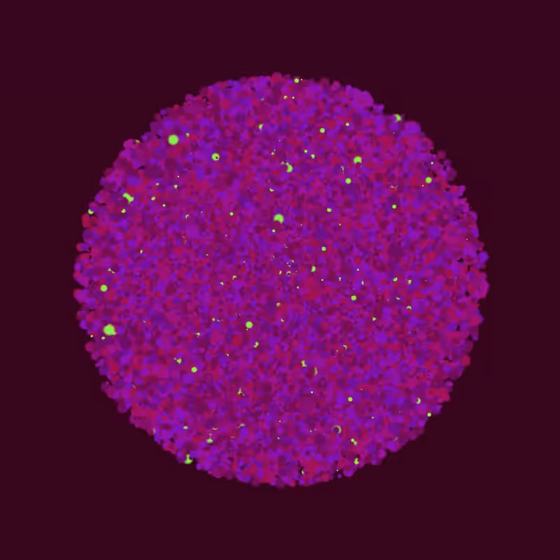 Coalesce #172