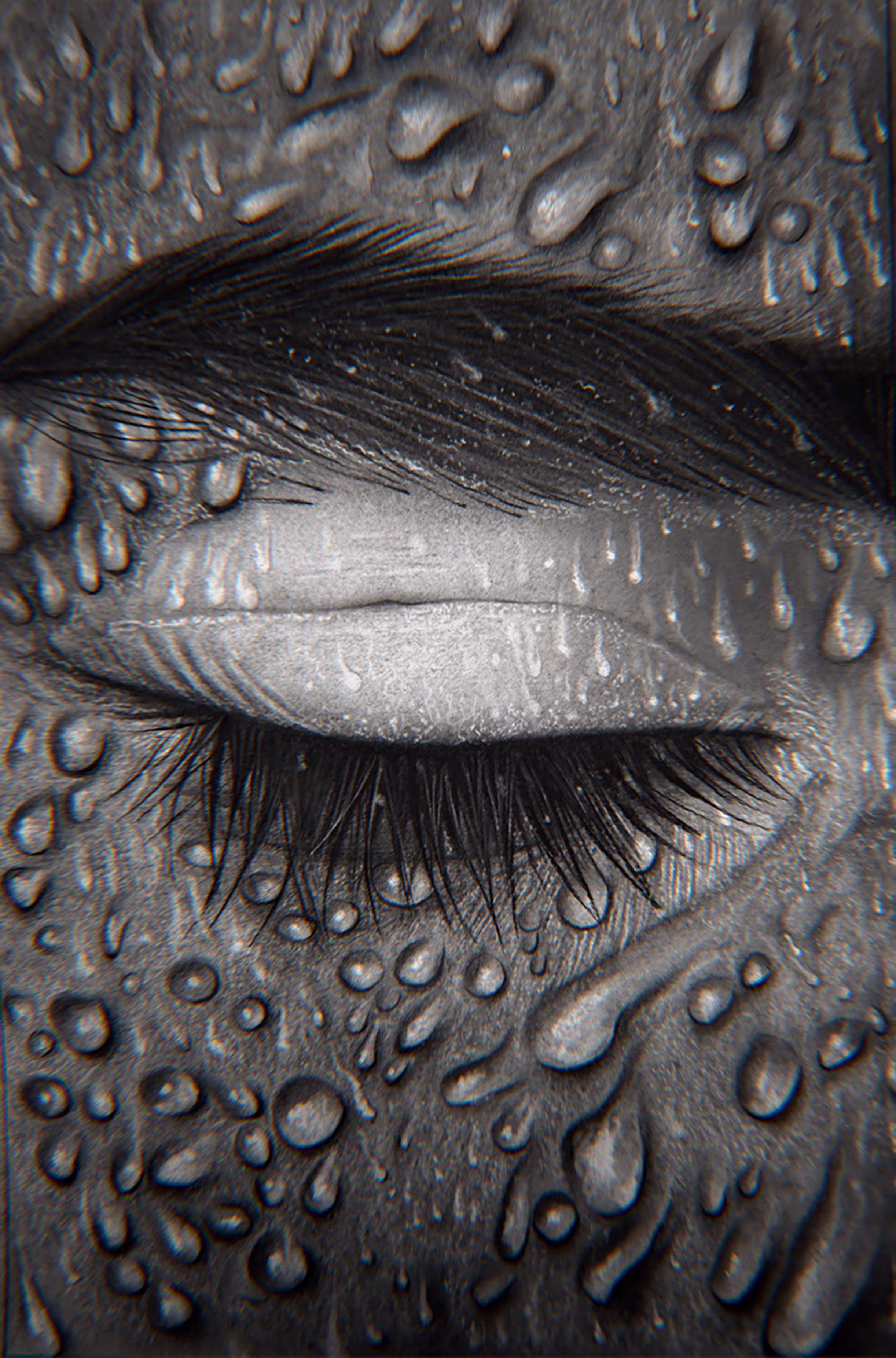 Dew of Dreams