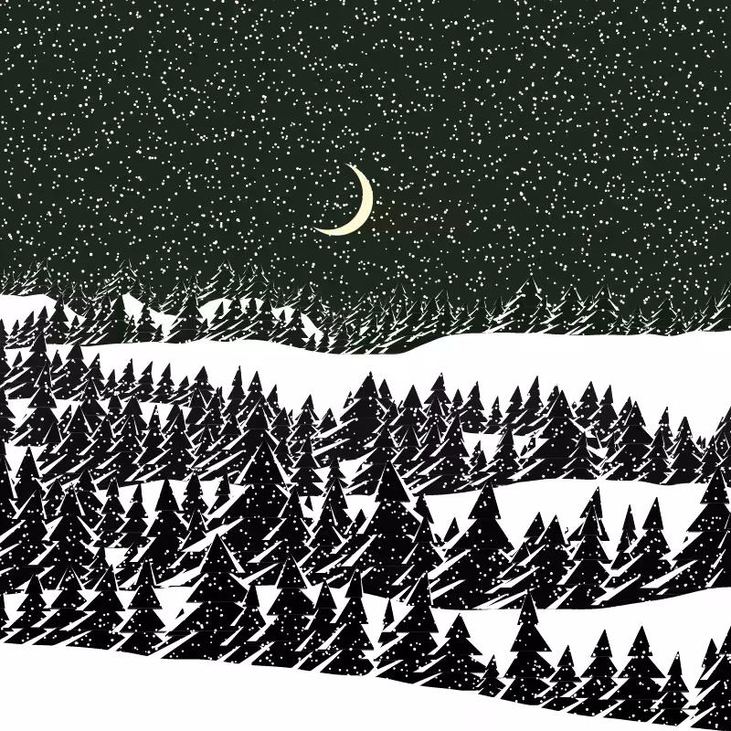 Winterland #119