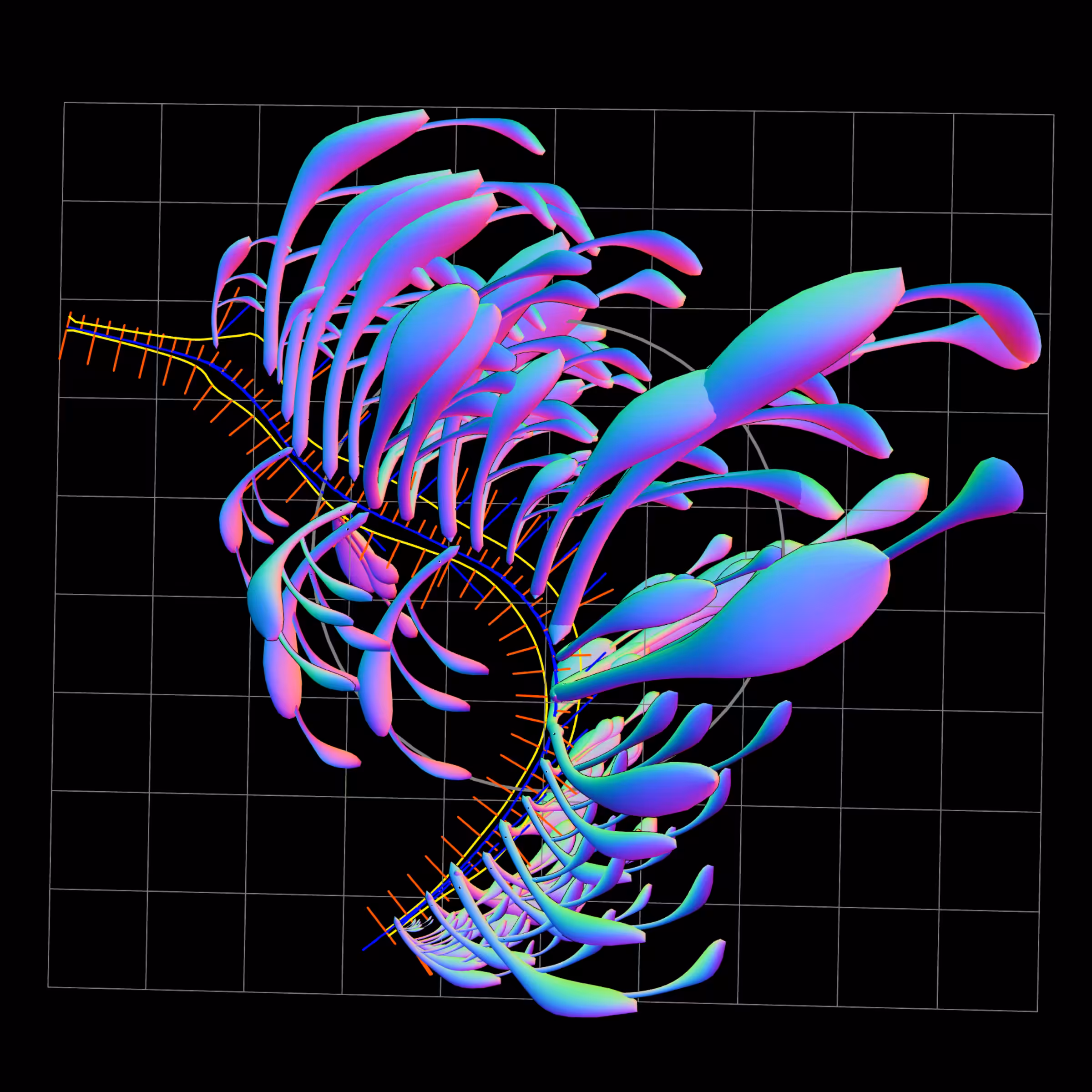 Seadragons #826